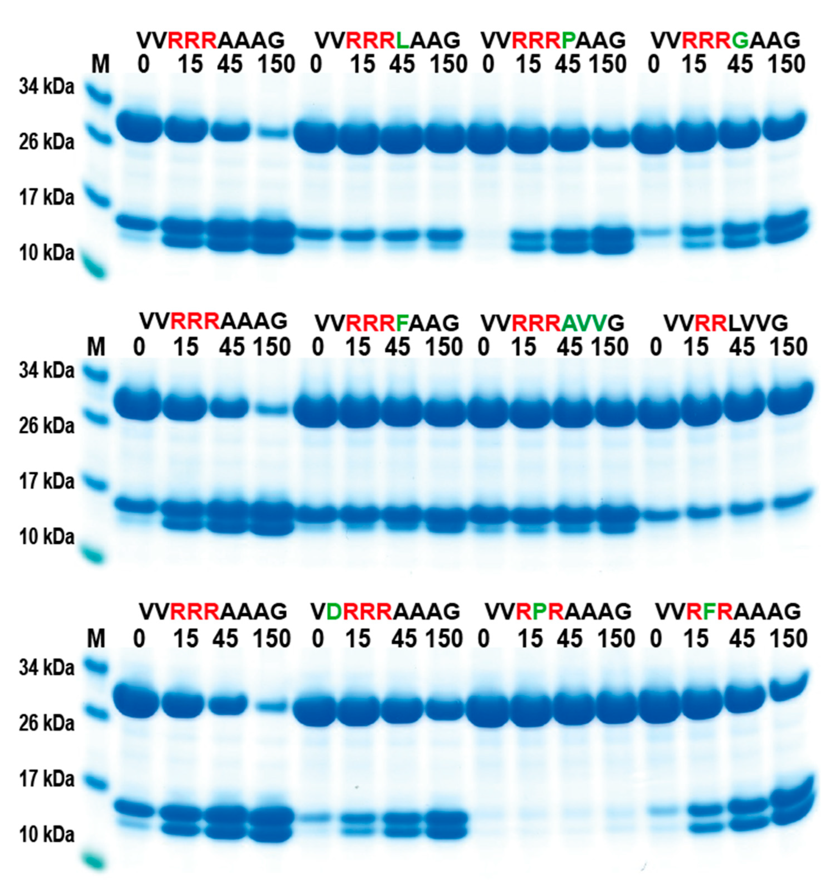 Preprints 90701 g005