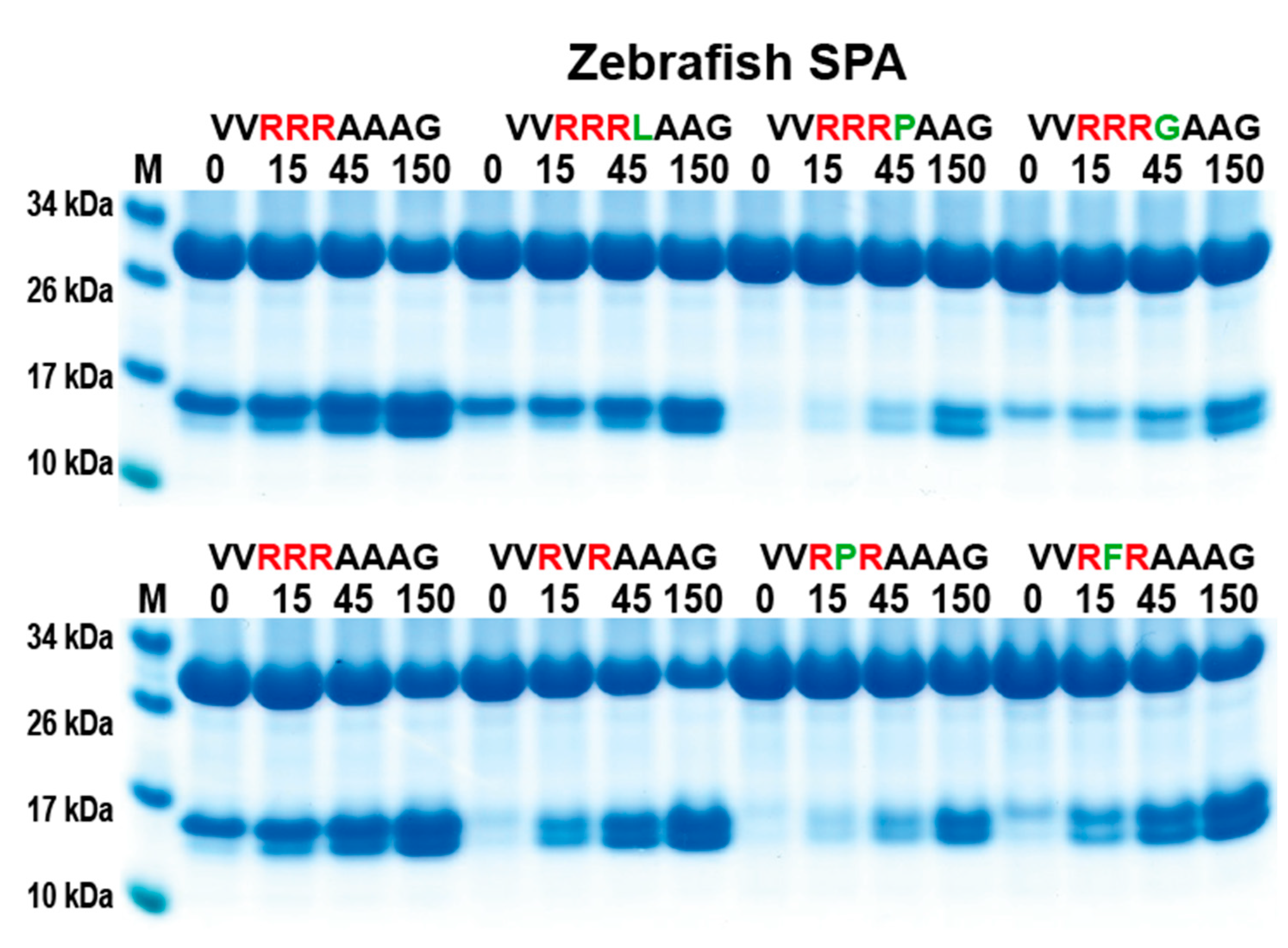 Preprints 90701 g006