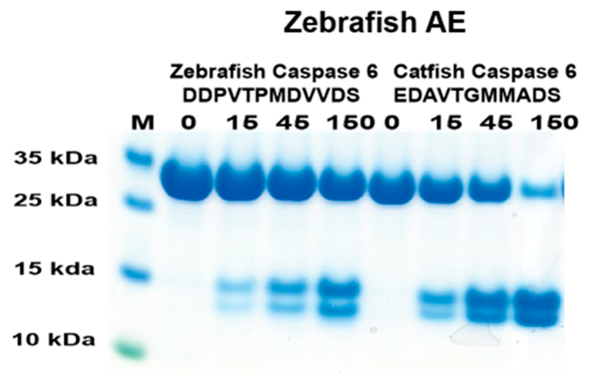 Preprints 90701 g007