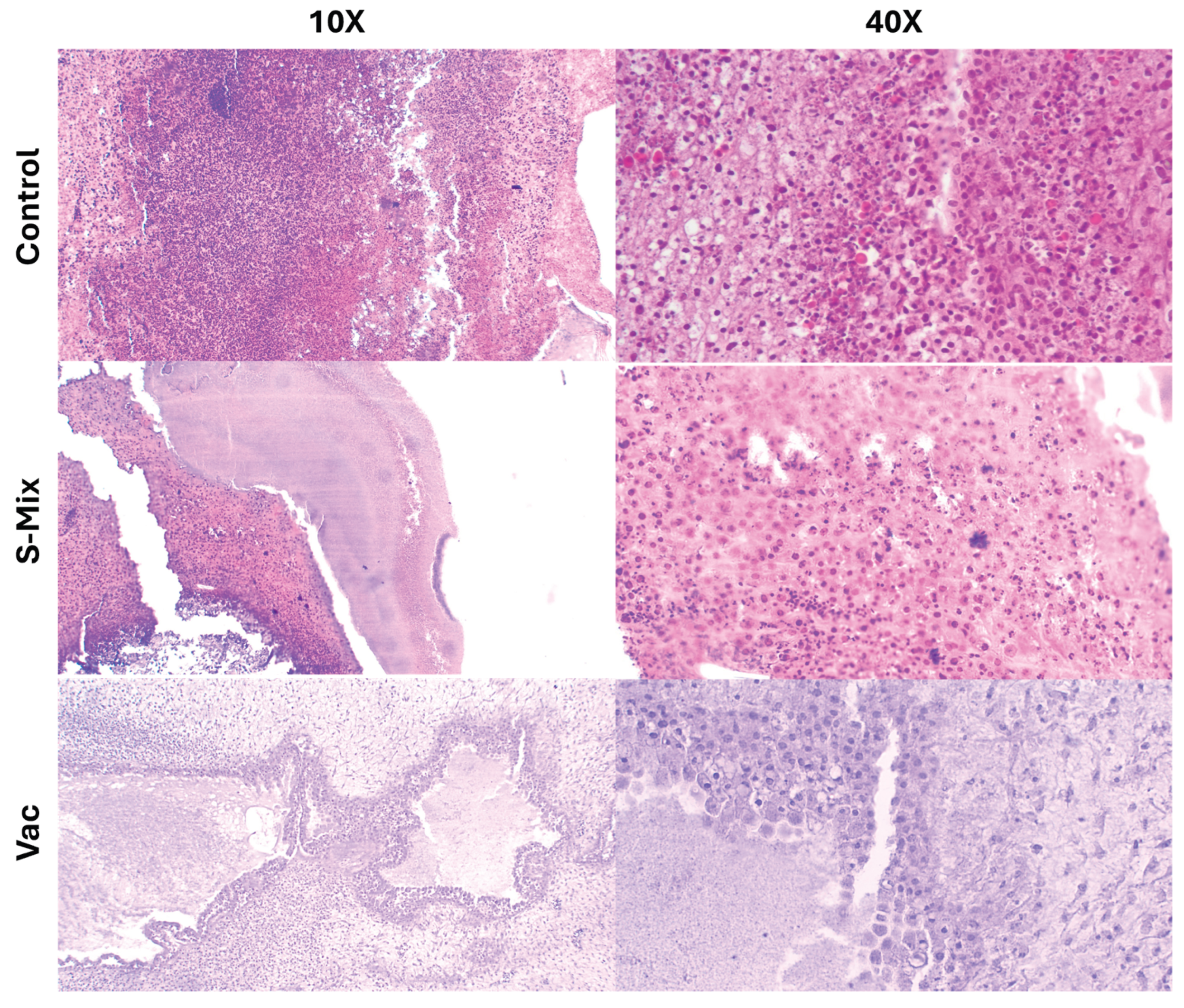 Preprints 190056 g007