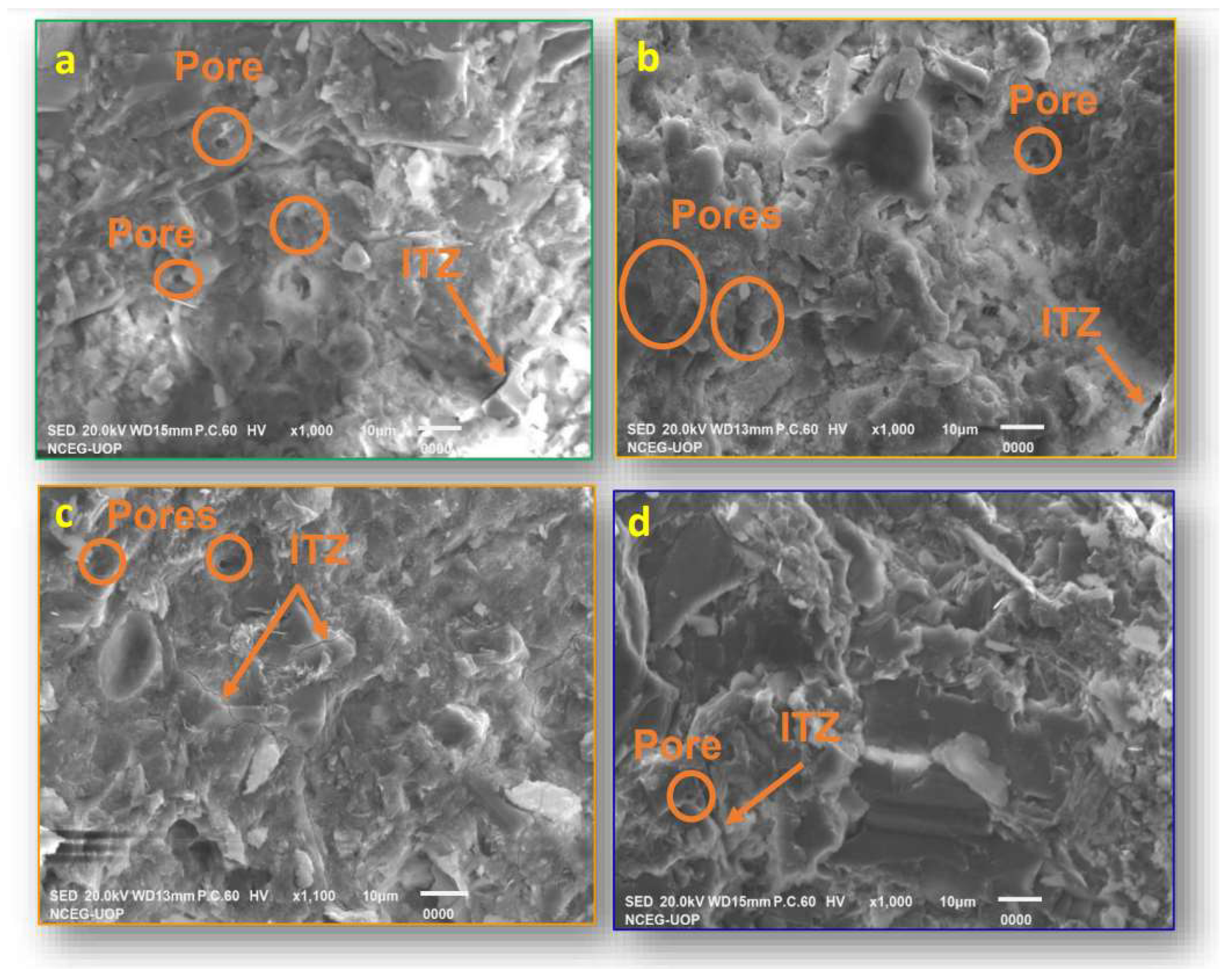Preprints 146982 g016