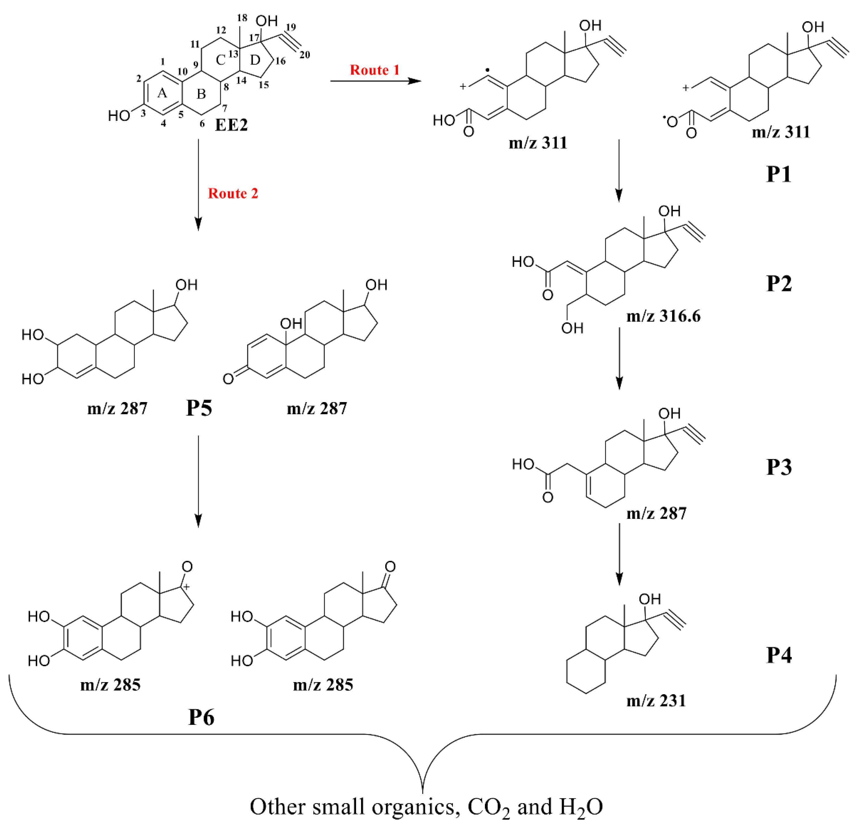 Preprints 160137 g011