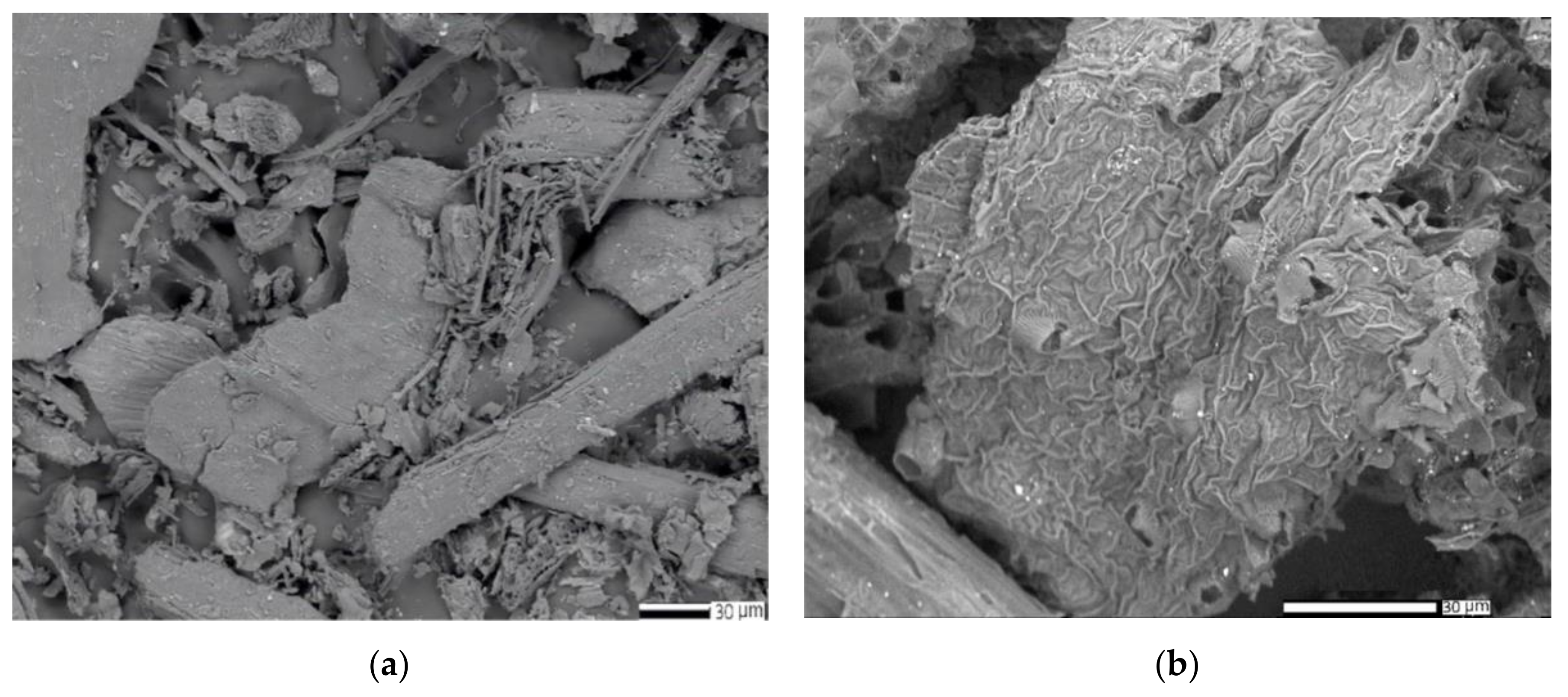 Preprints 115979 g007