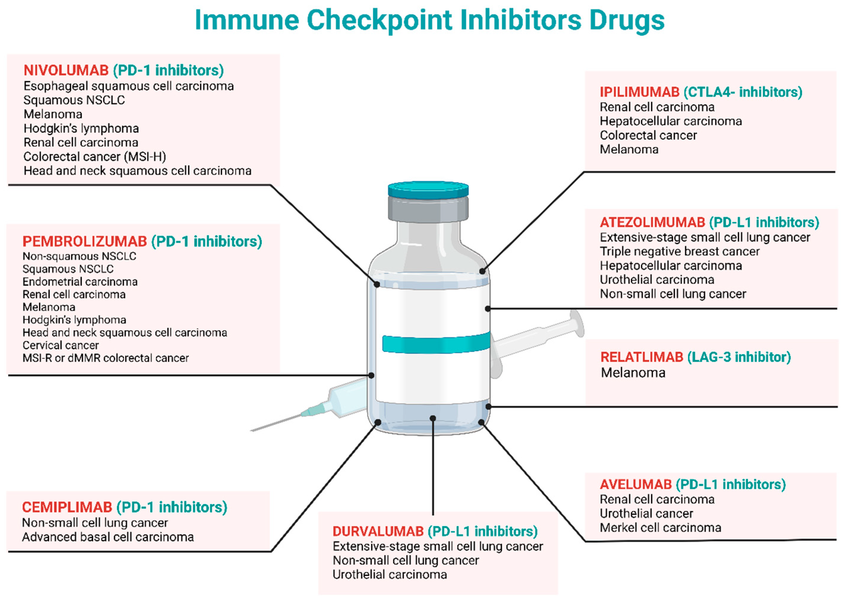 Preprints 141922 g002