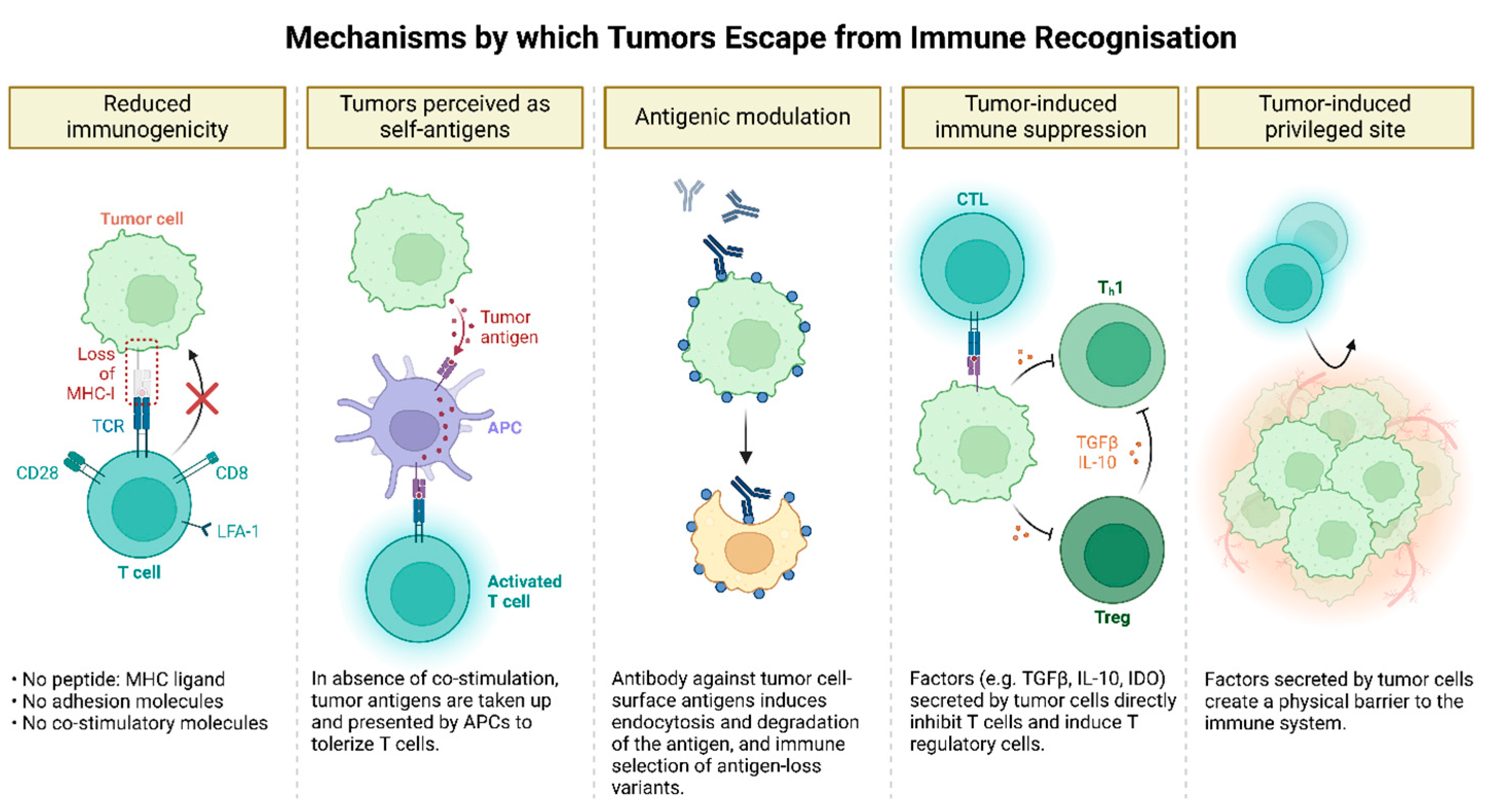 Preprints 141922 g004