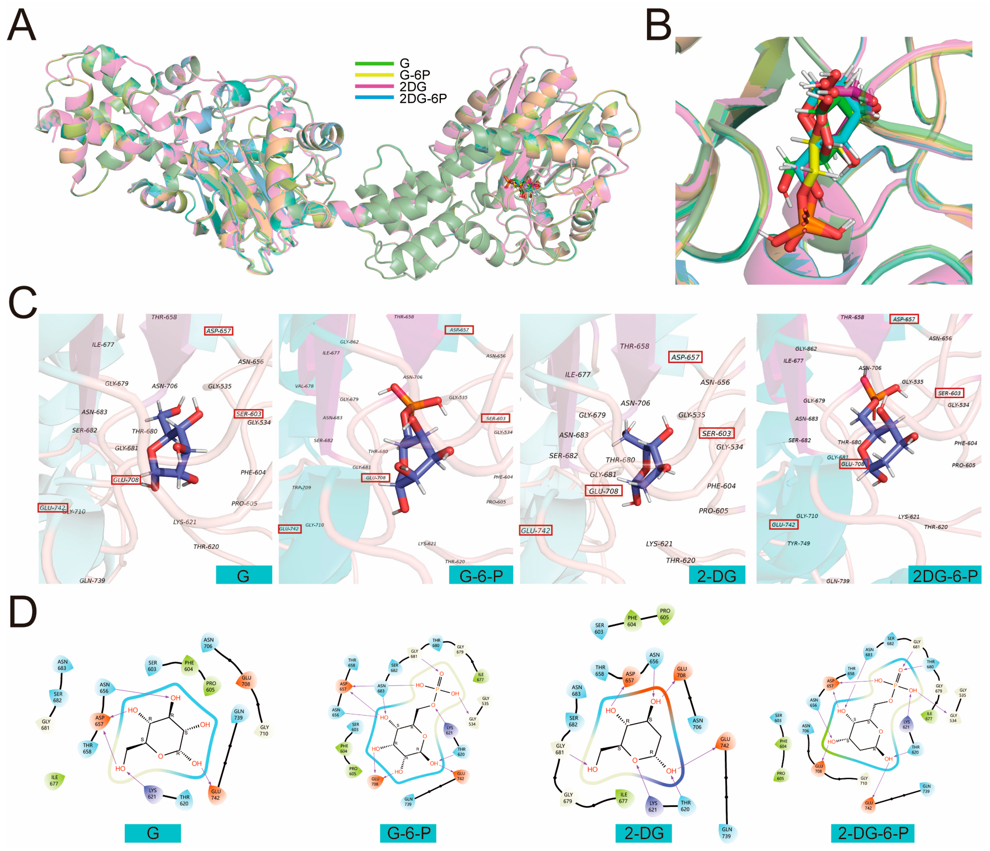 Preprints 141281 g001