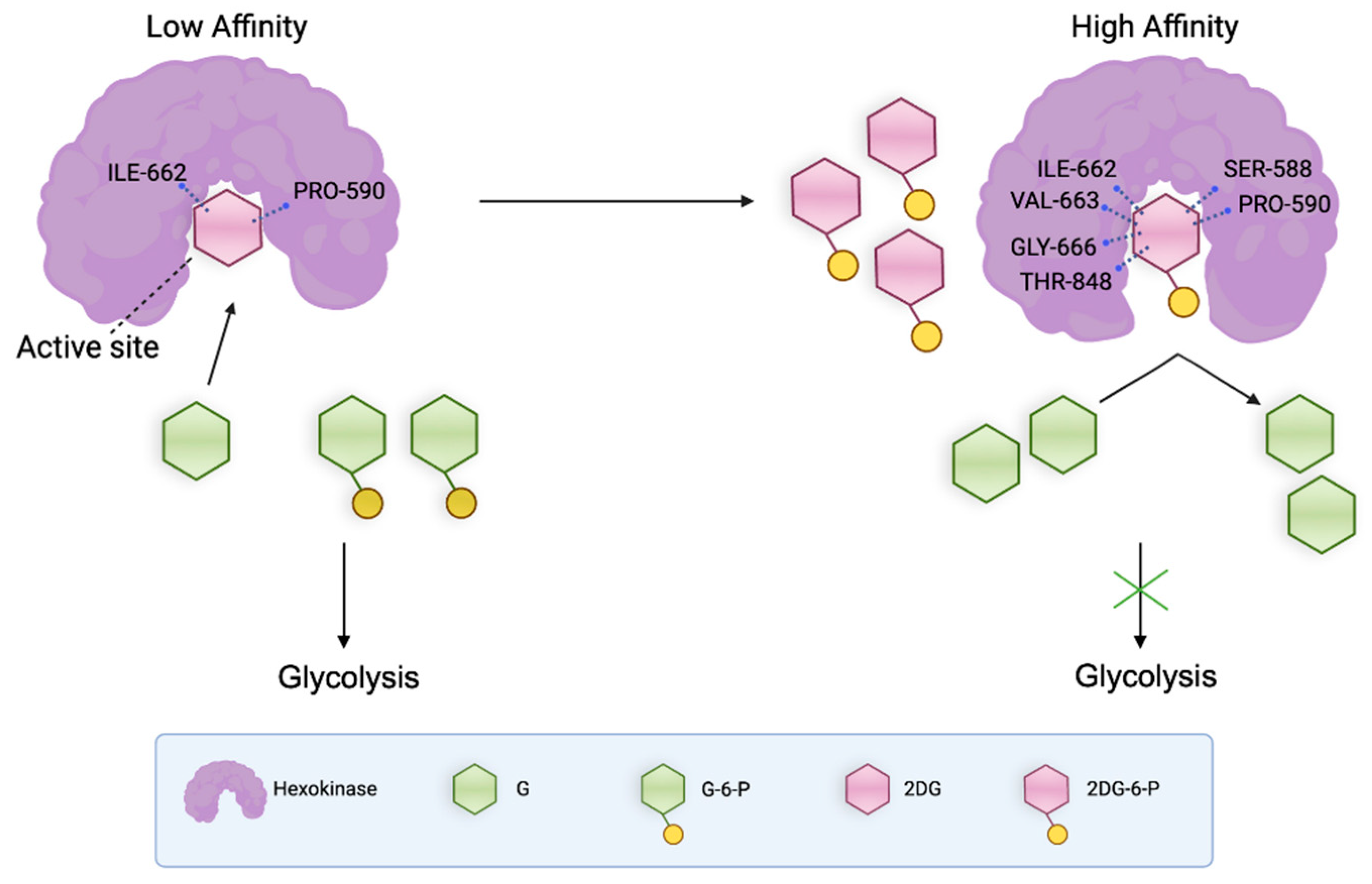 Preprints 141281 g007