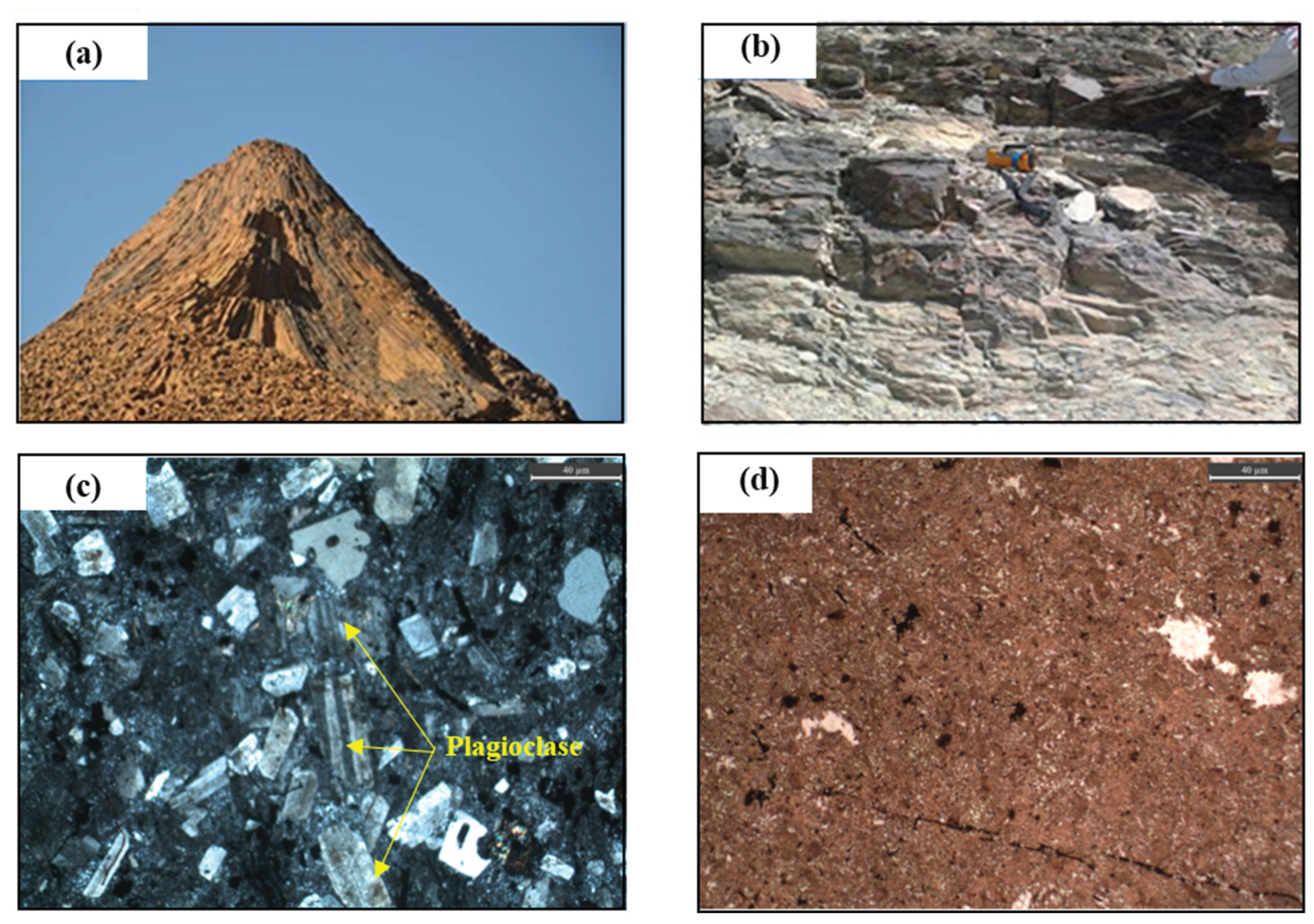 Preprints 197097 g002