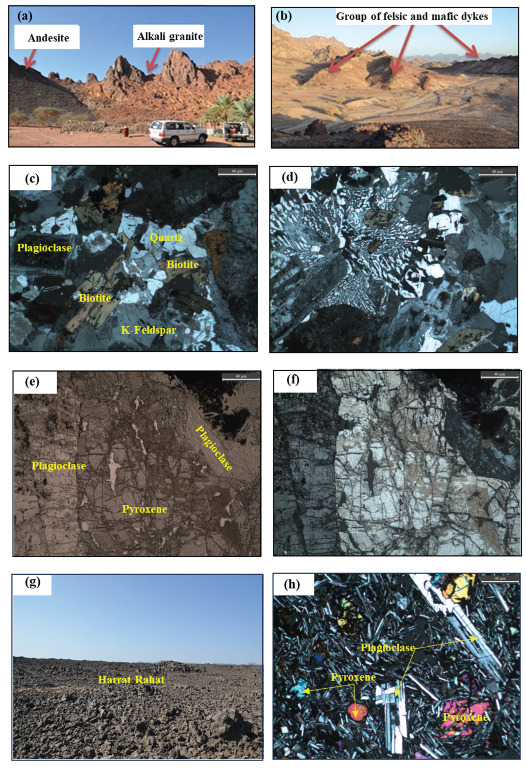 Preprints 197097 g003