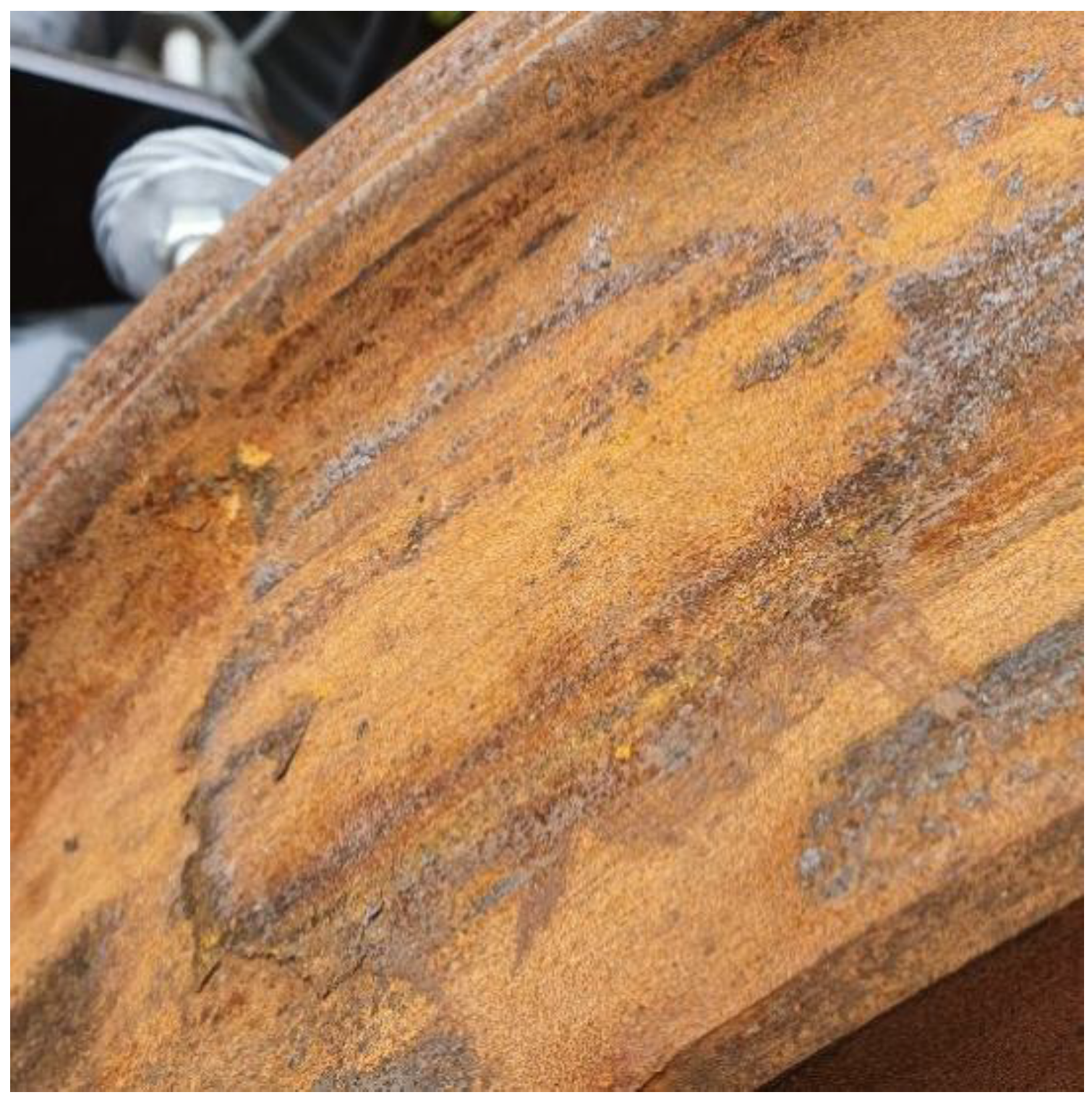 Preprints 192869 g001