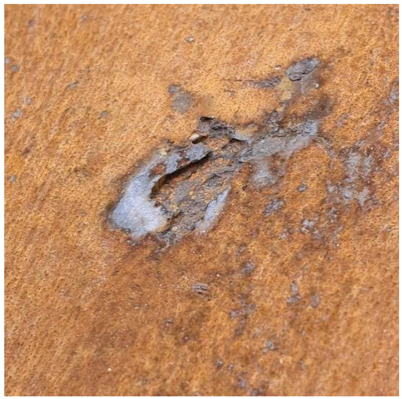 Preprints 192869 g002