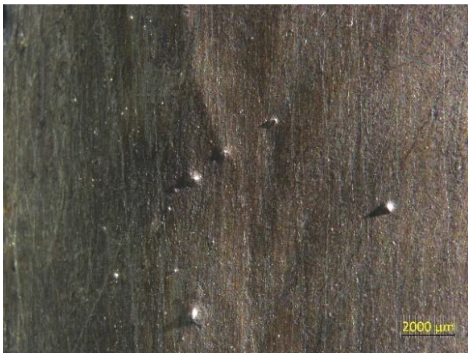 Preprints 192869 g003