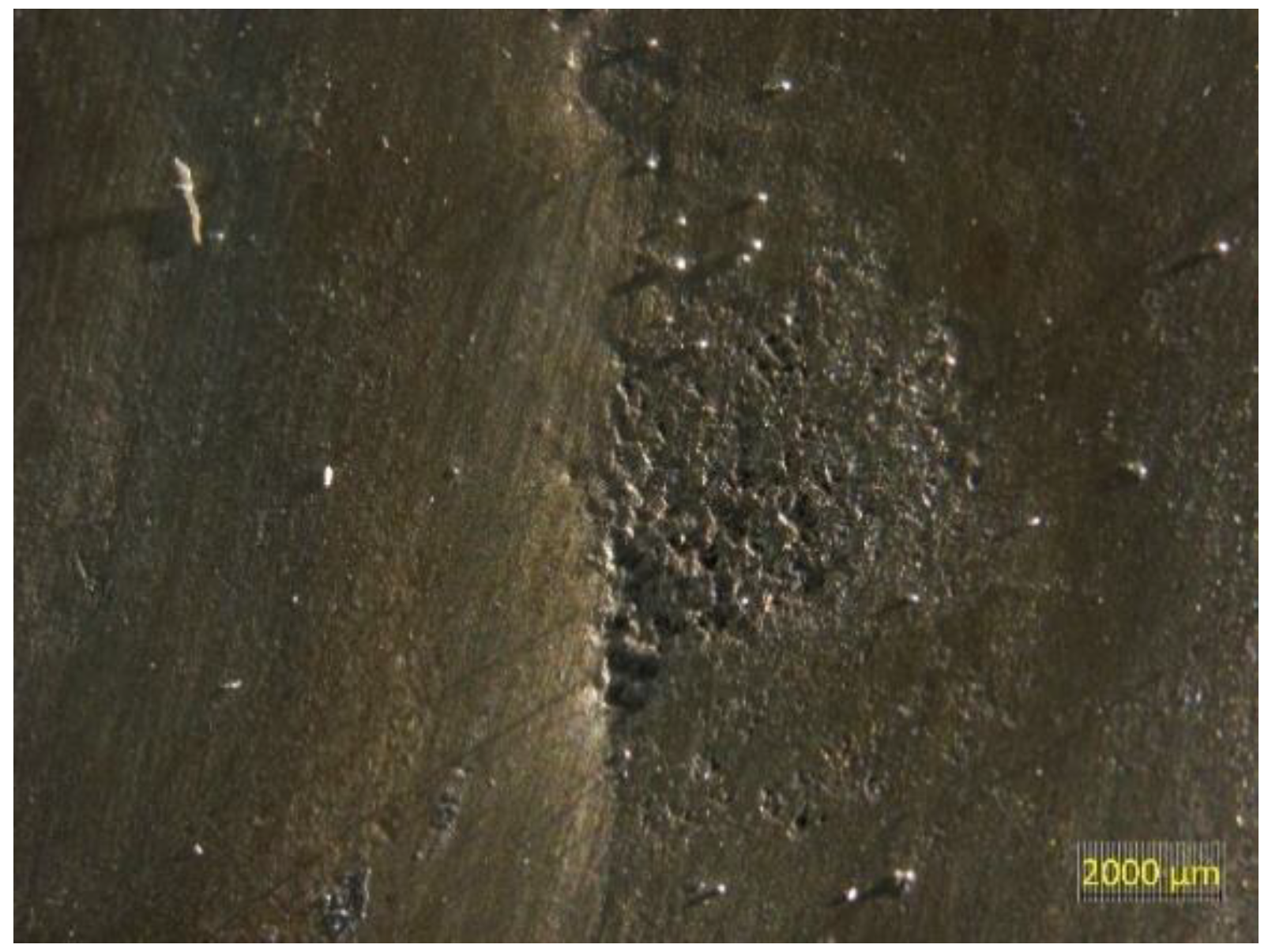 Preprints 192869 g004