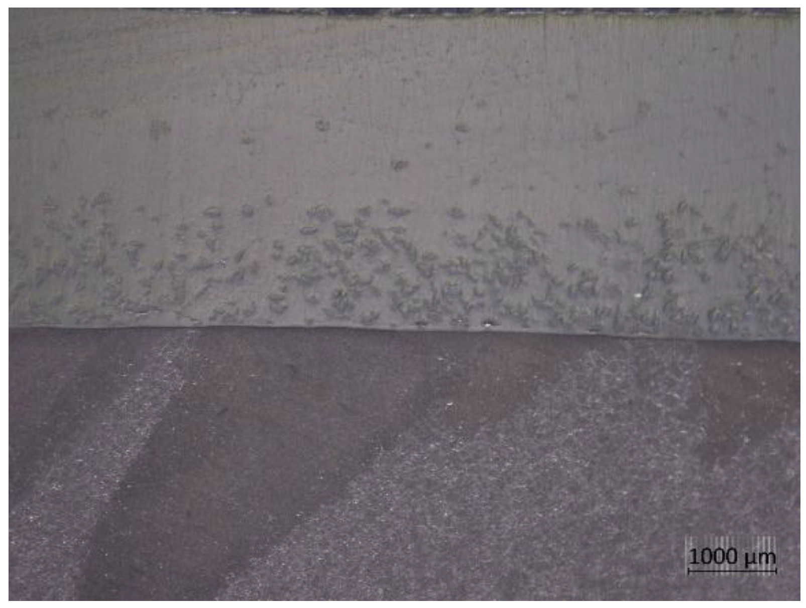 Preprints 192869 g005