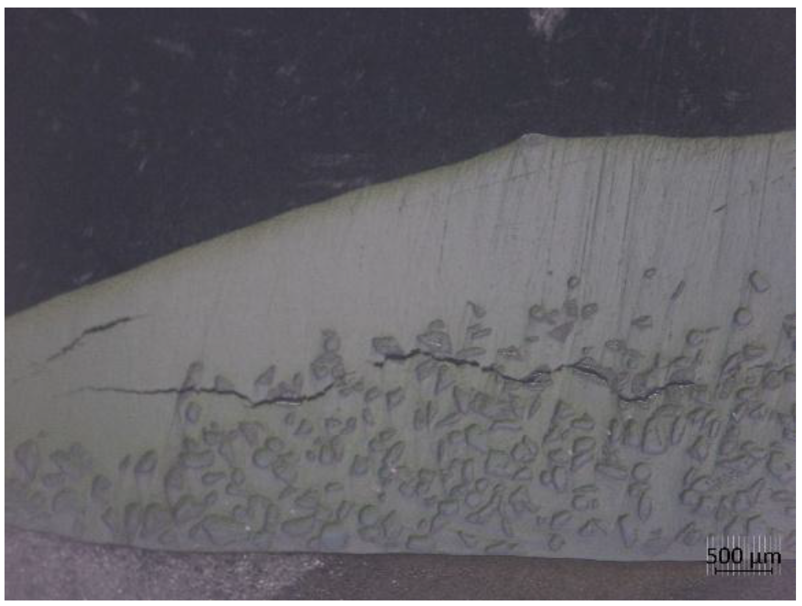 Preprints 192869 g006