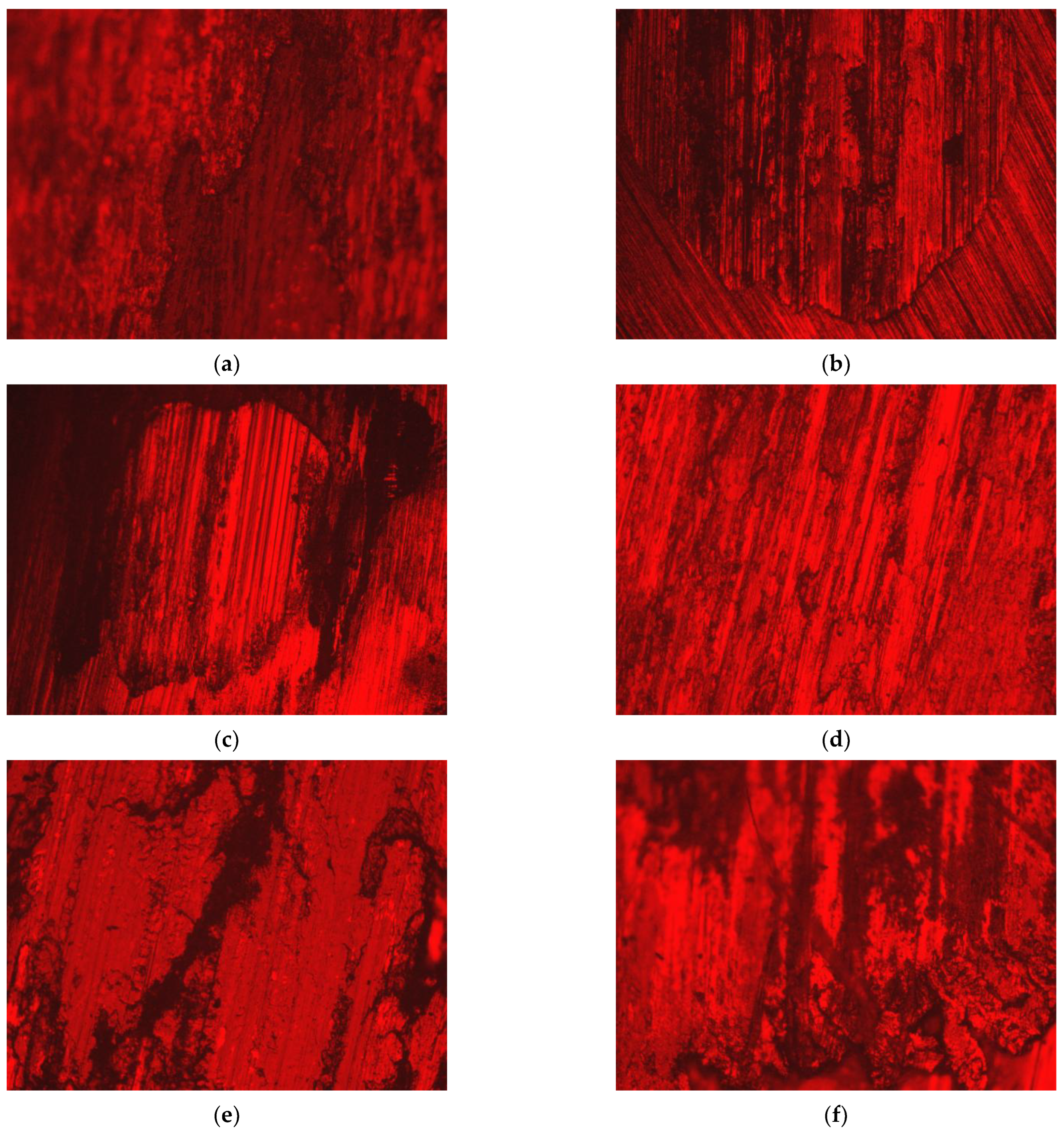 Preprints 192869 g008