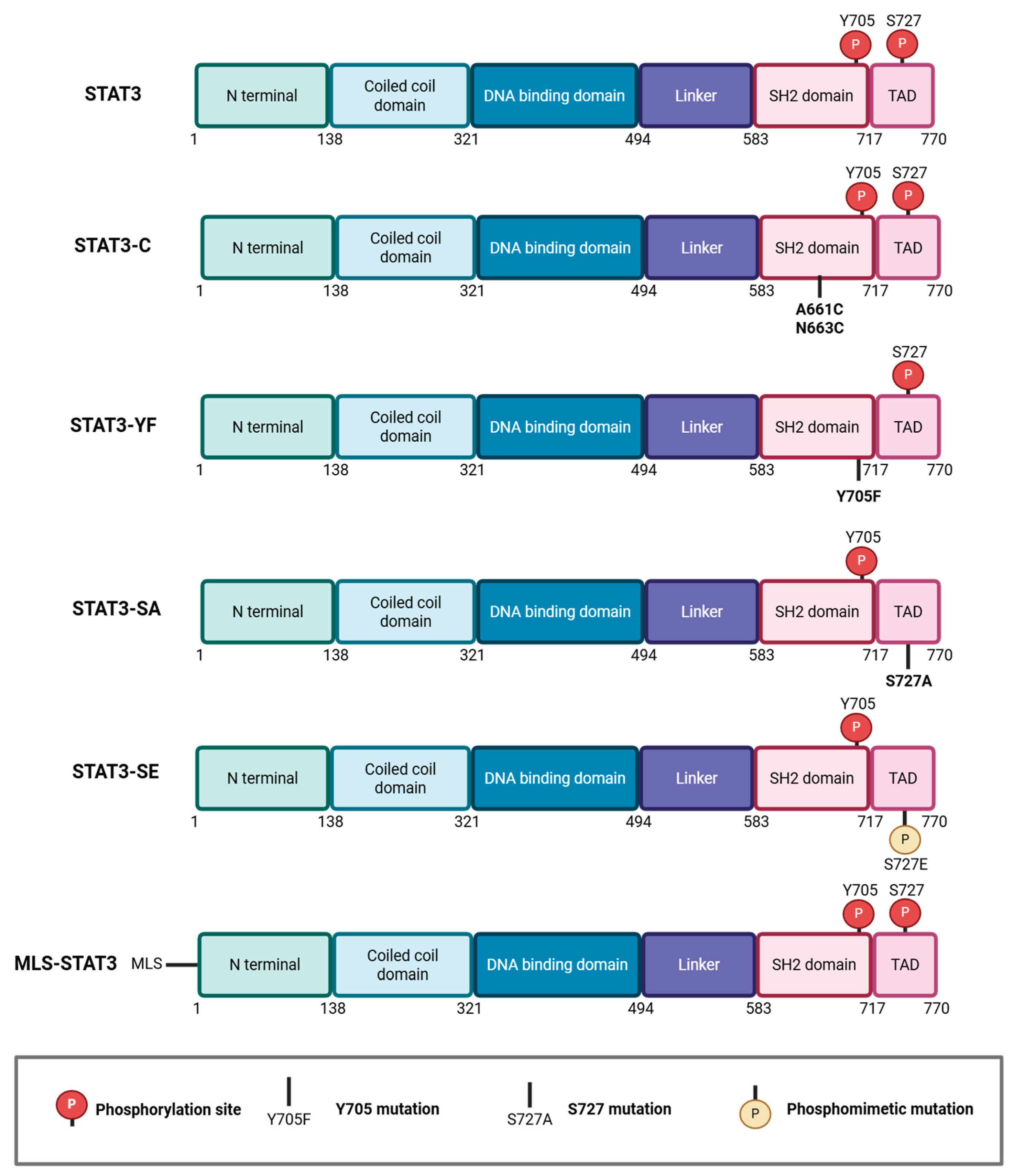 Preprints 197393 g001
