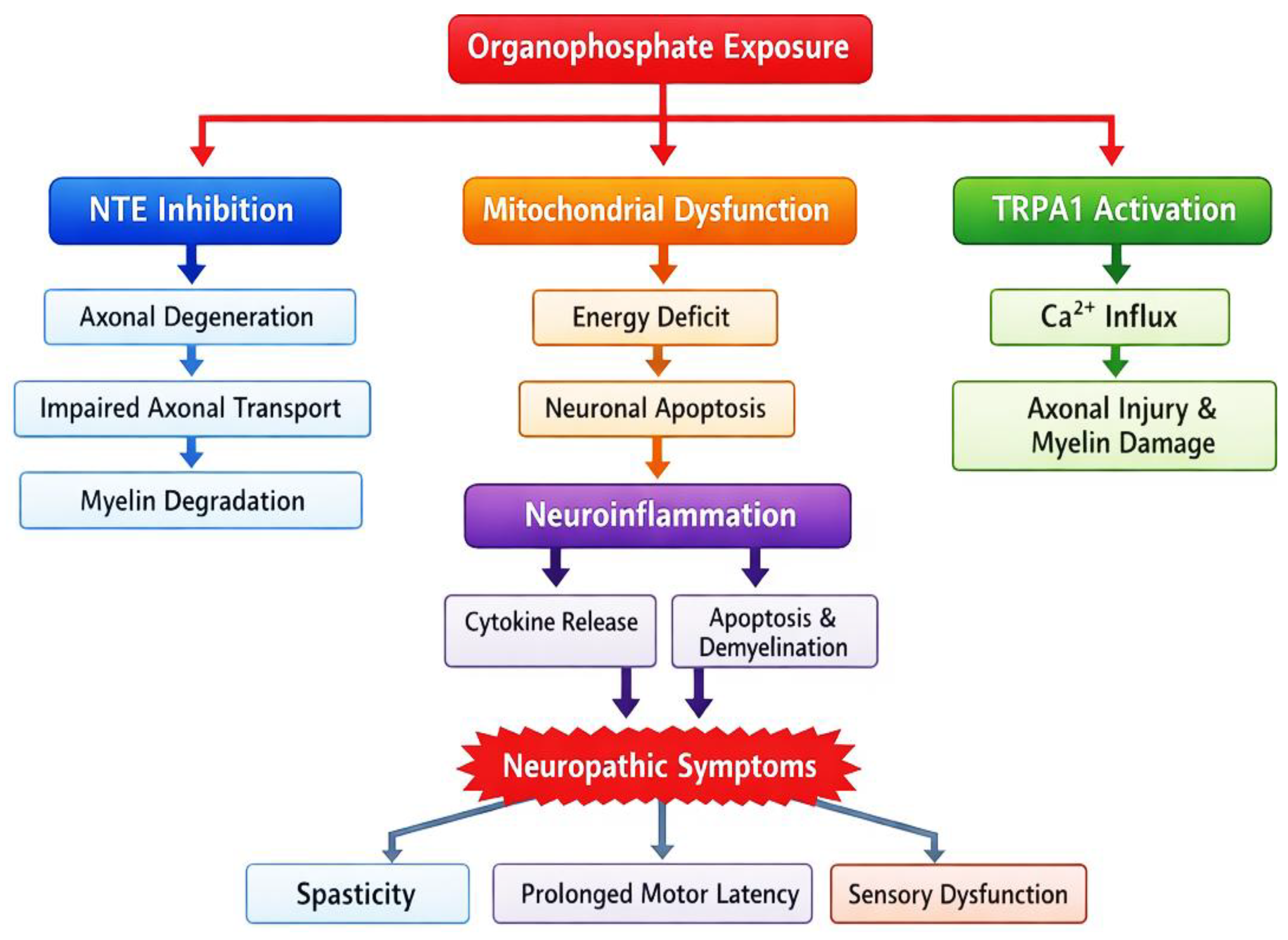 Preprints 182520 g001