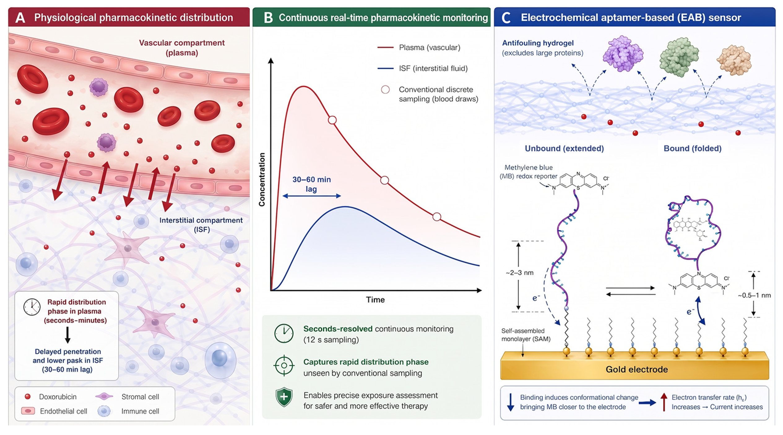 Preprints 216435 g001