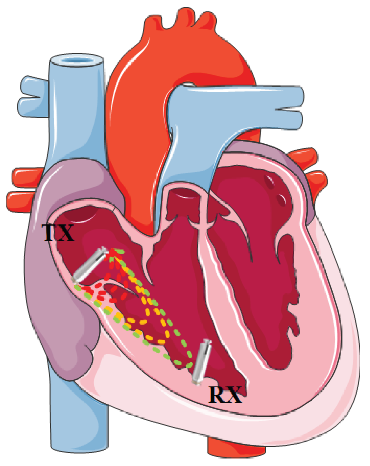 Preprints 207484 g001