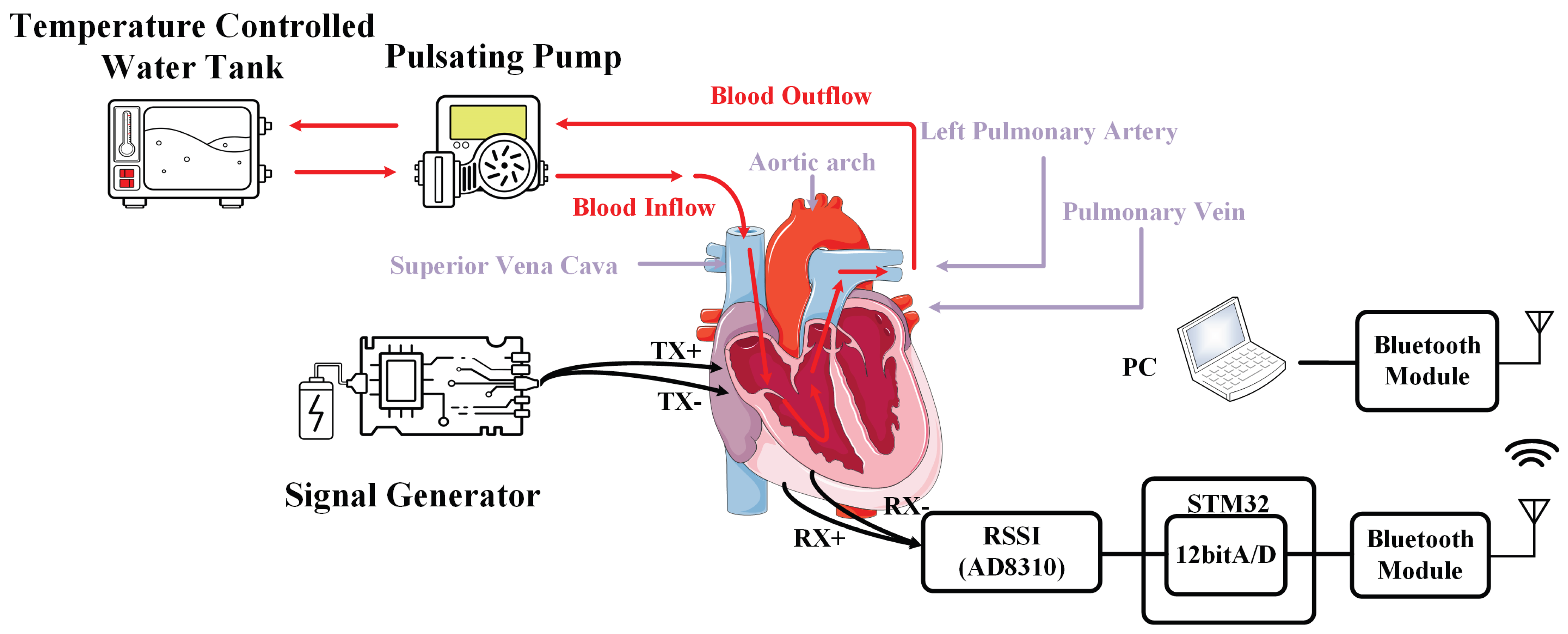 Preprints 207484 g002