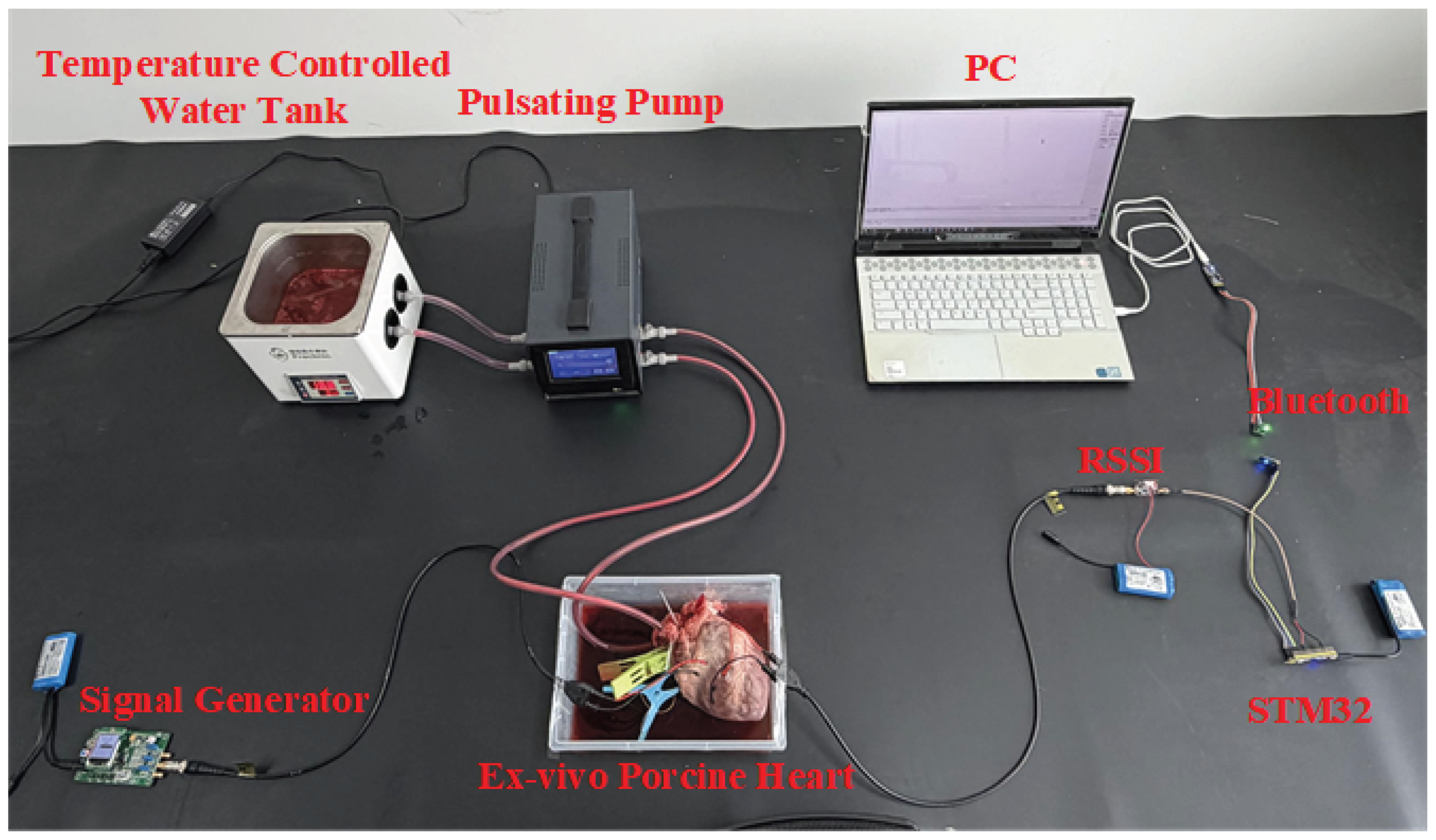 Preprints 207484 g004