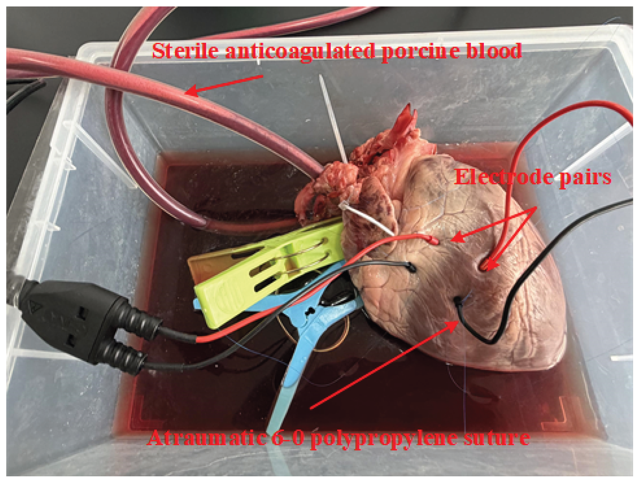 Preprints 207484 g005