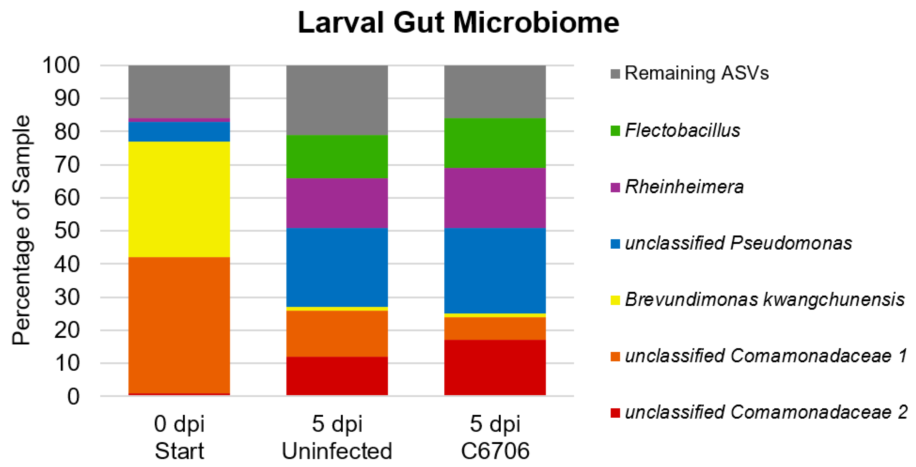 Preprints 115302 g003