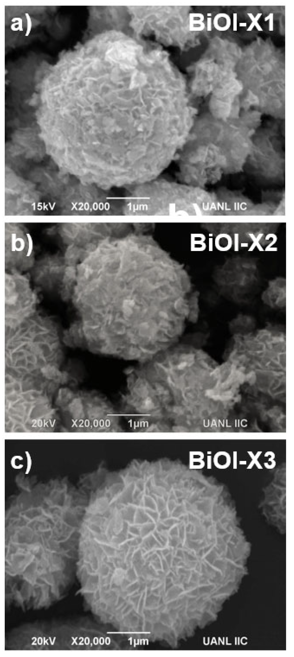 Preprints 164296 g003