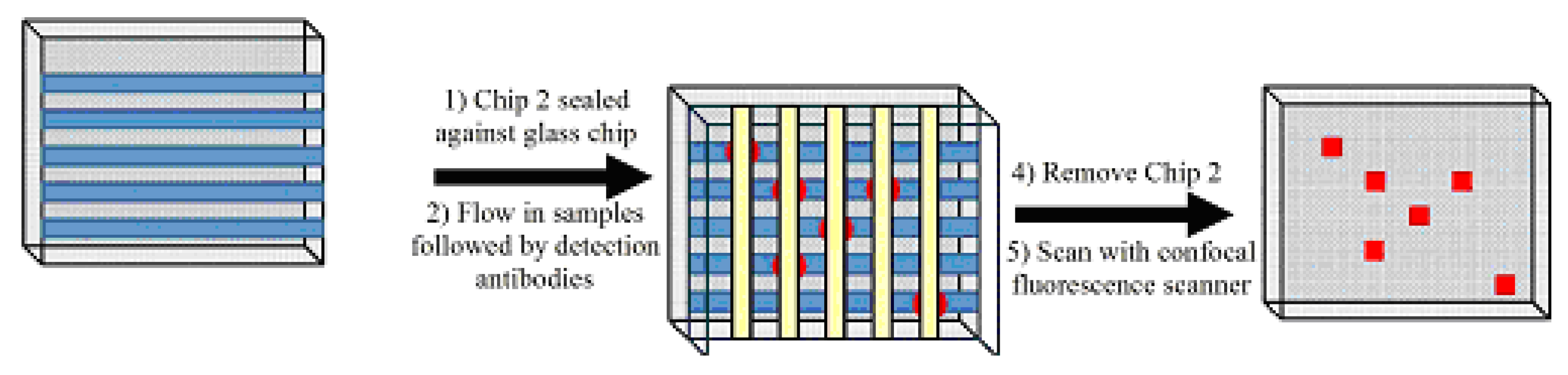 Preprints 190341 g001