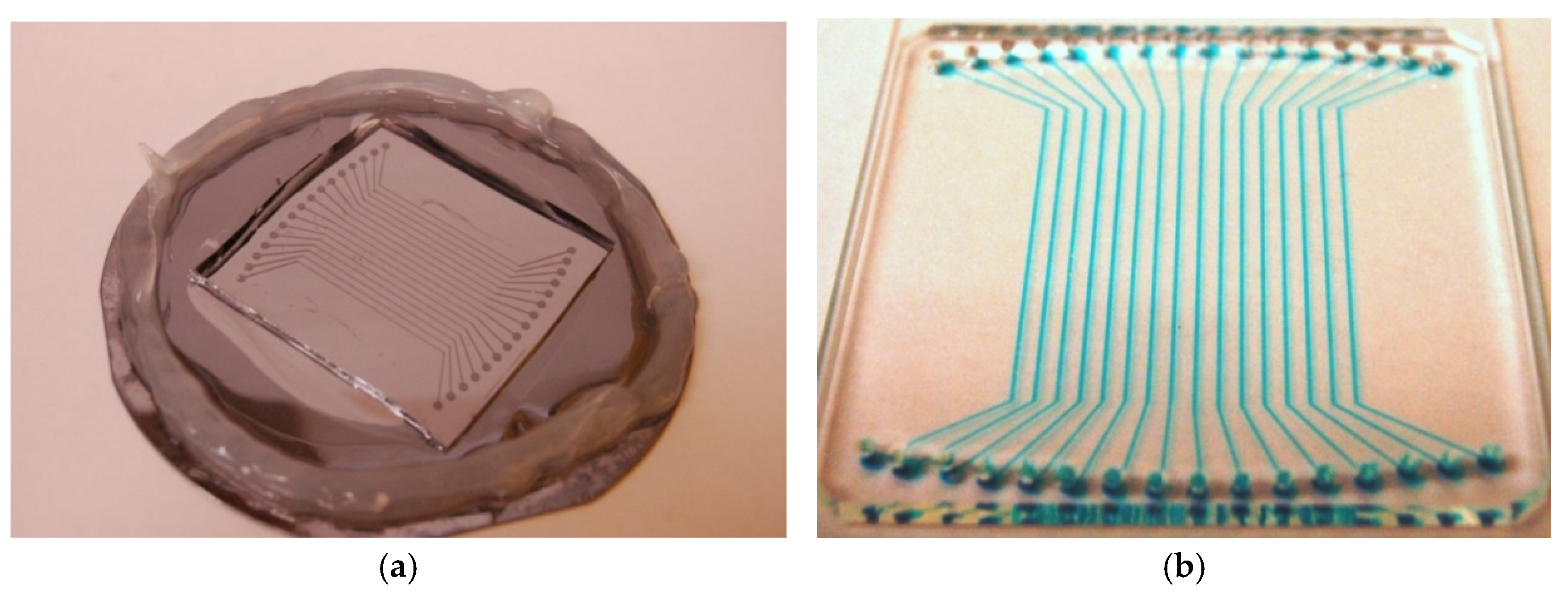 Preprints 190341 g002