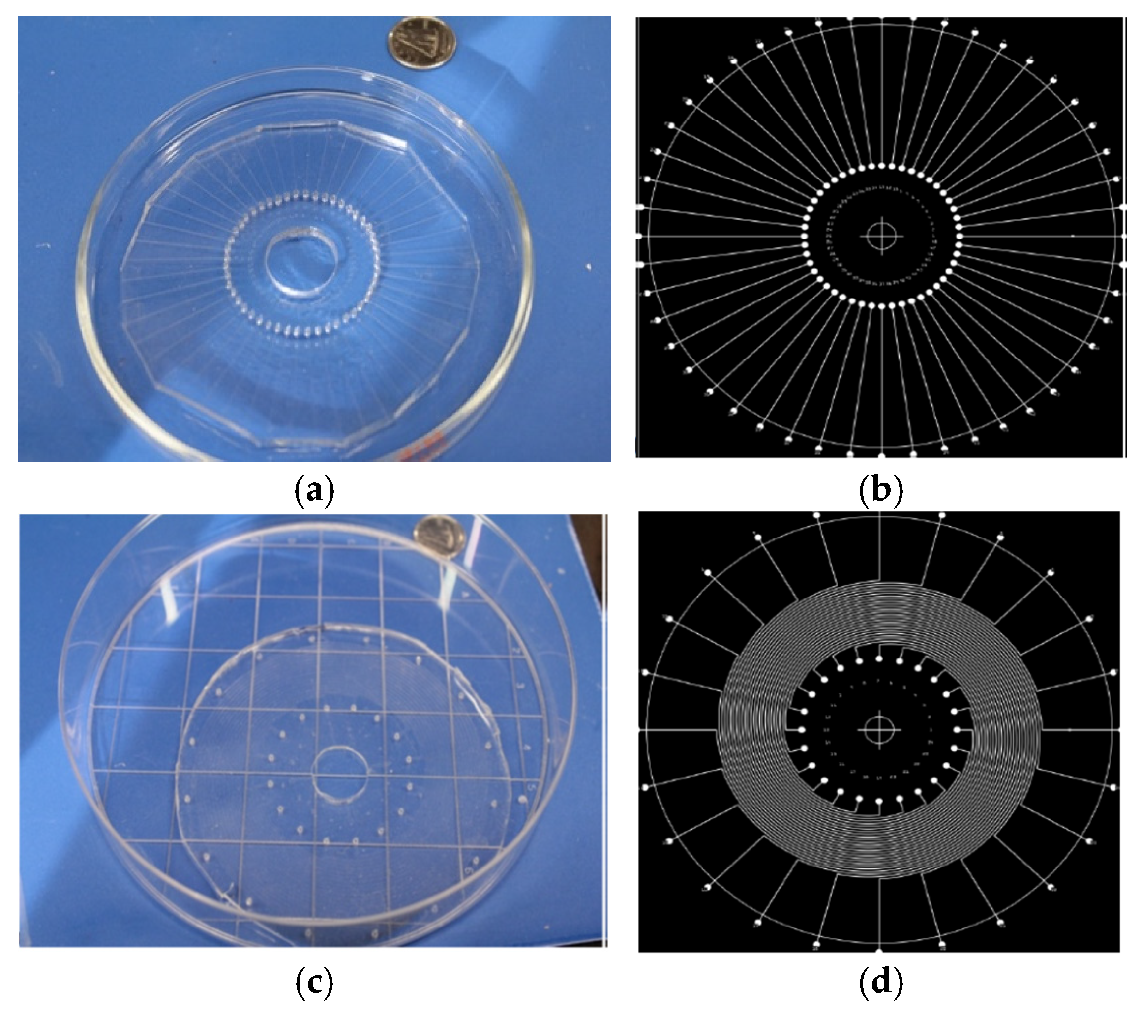 Preprints 190341 g003