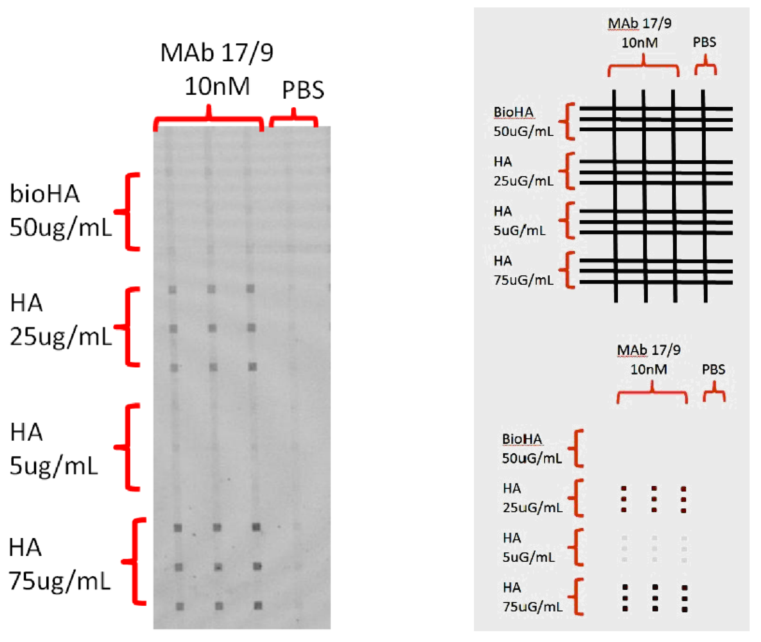 Preprints 190341 g005