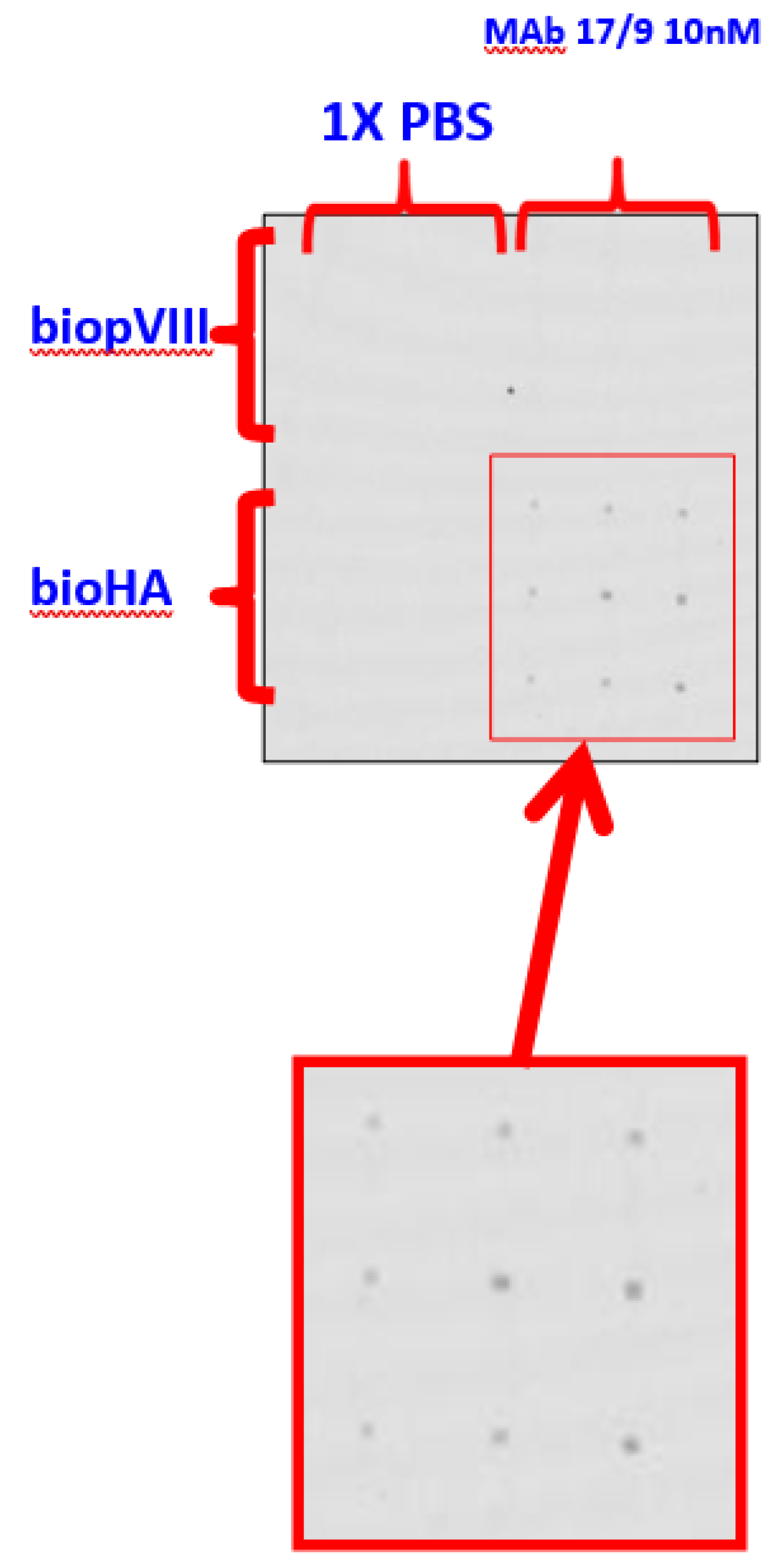 Preprints 190341 g006