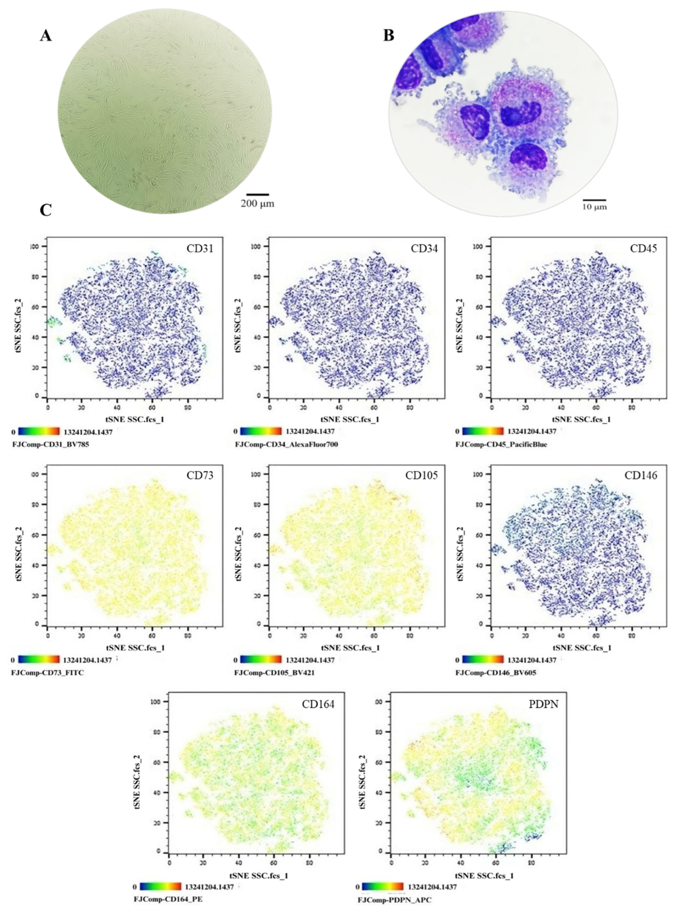 Preprints 173254 g001