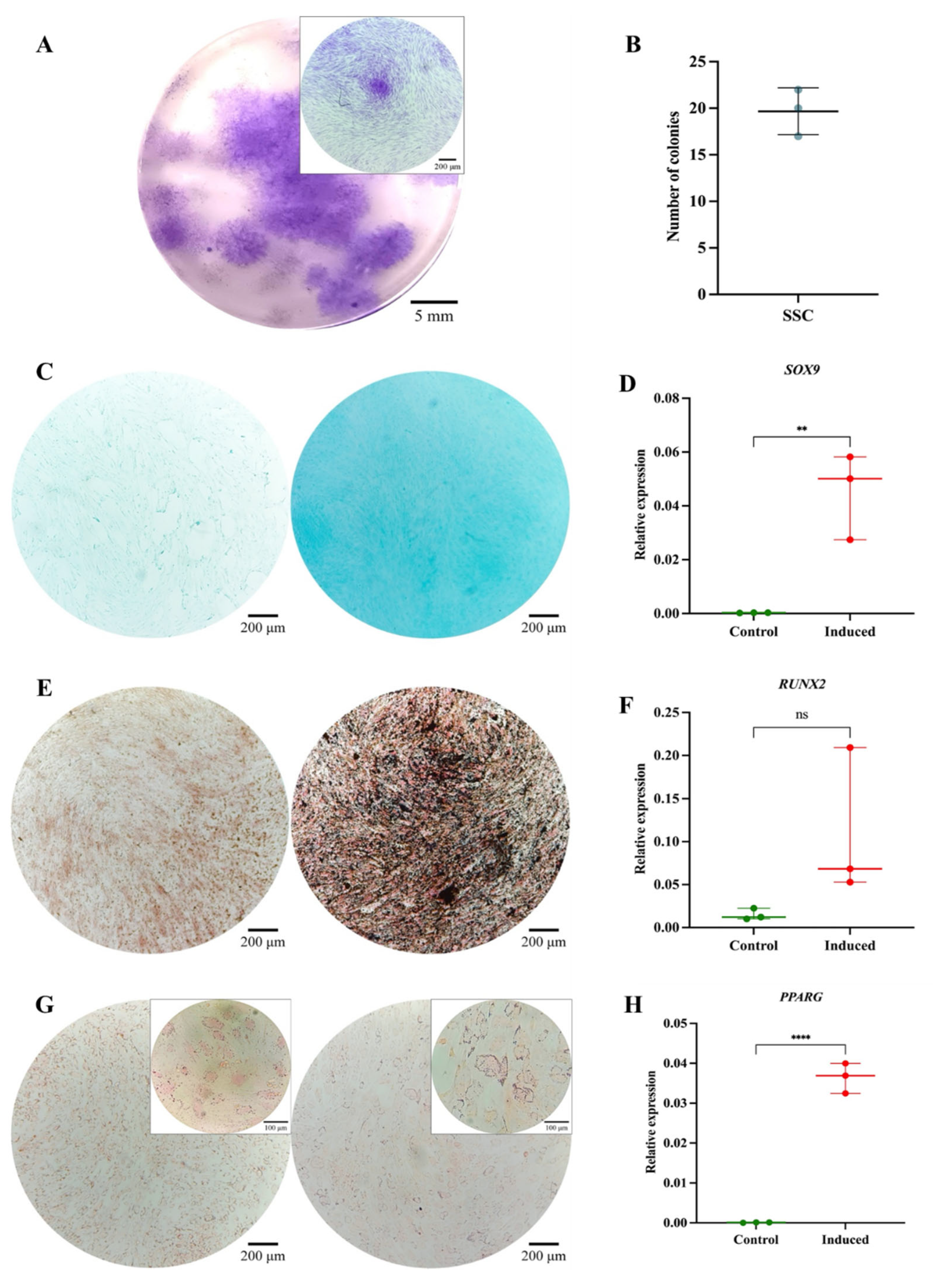Preprints 173254 g002