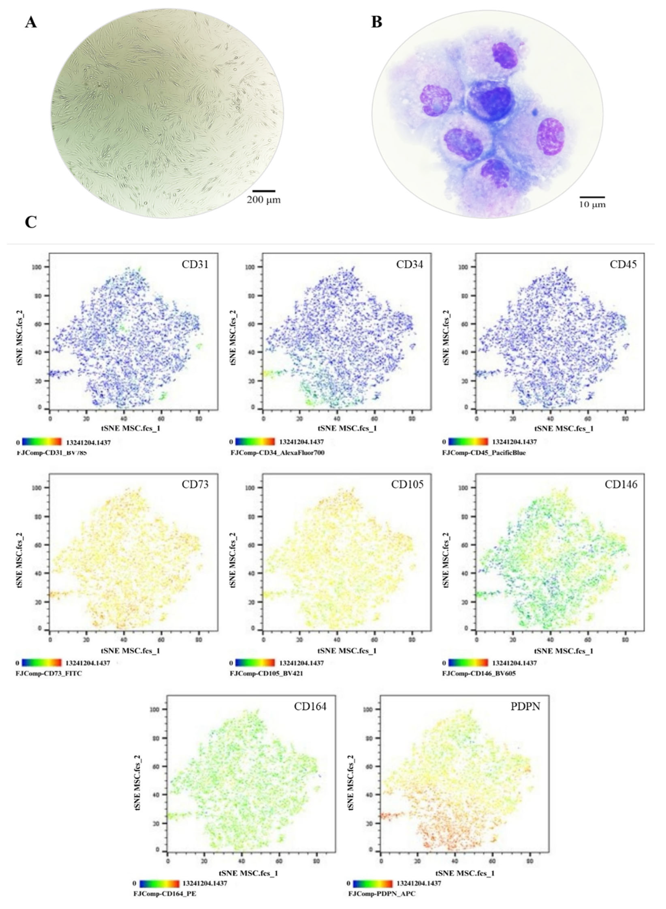 Preprints 173254 g003