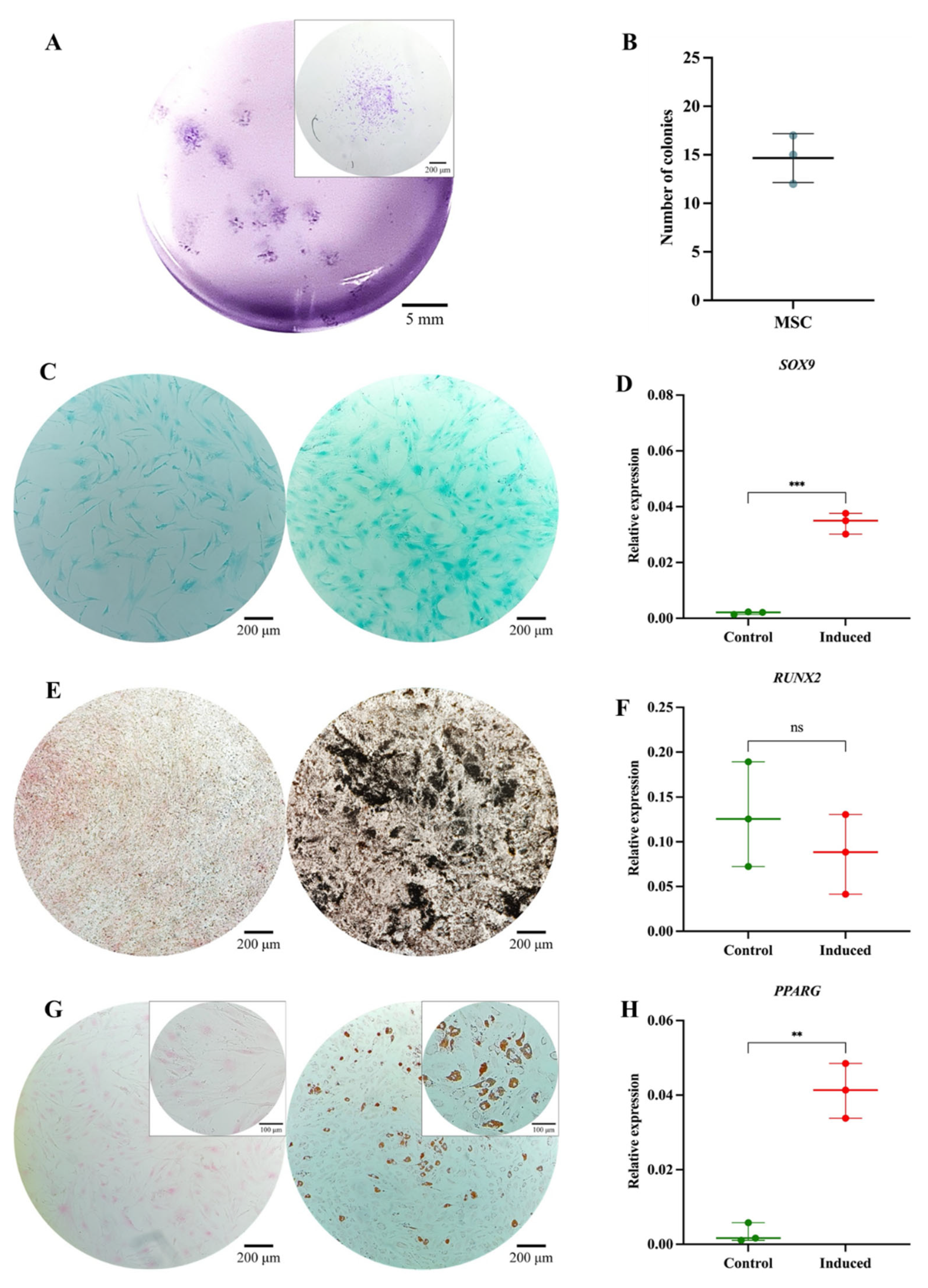 Preprints 173254 g004