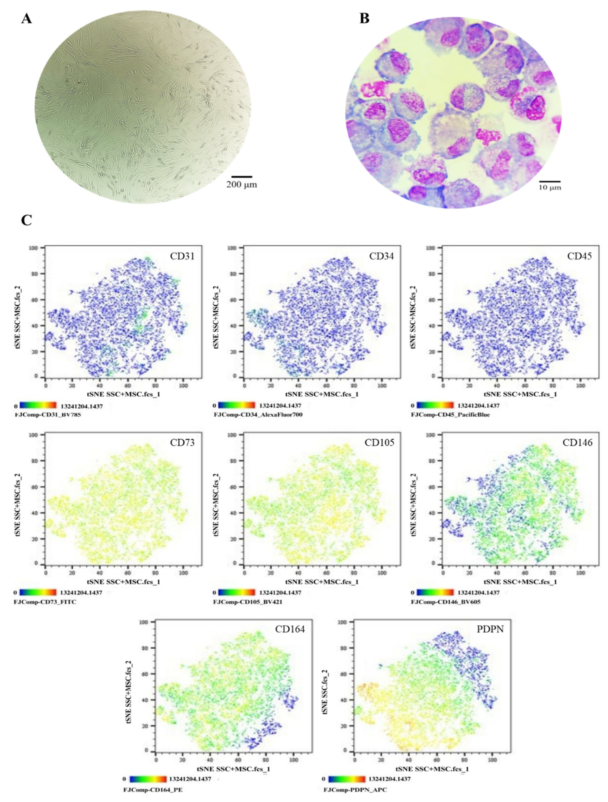 Preprints 173254 g005