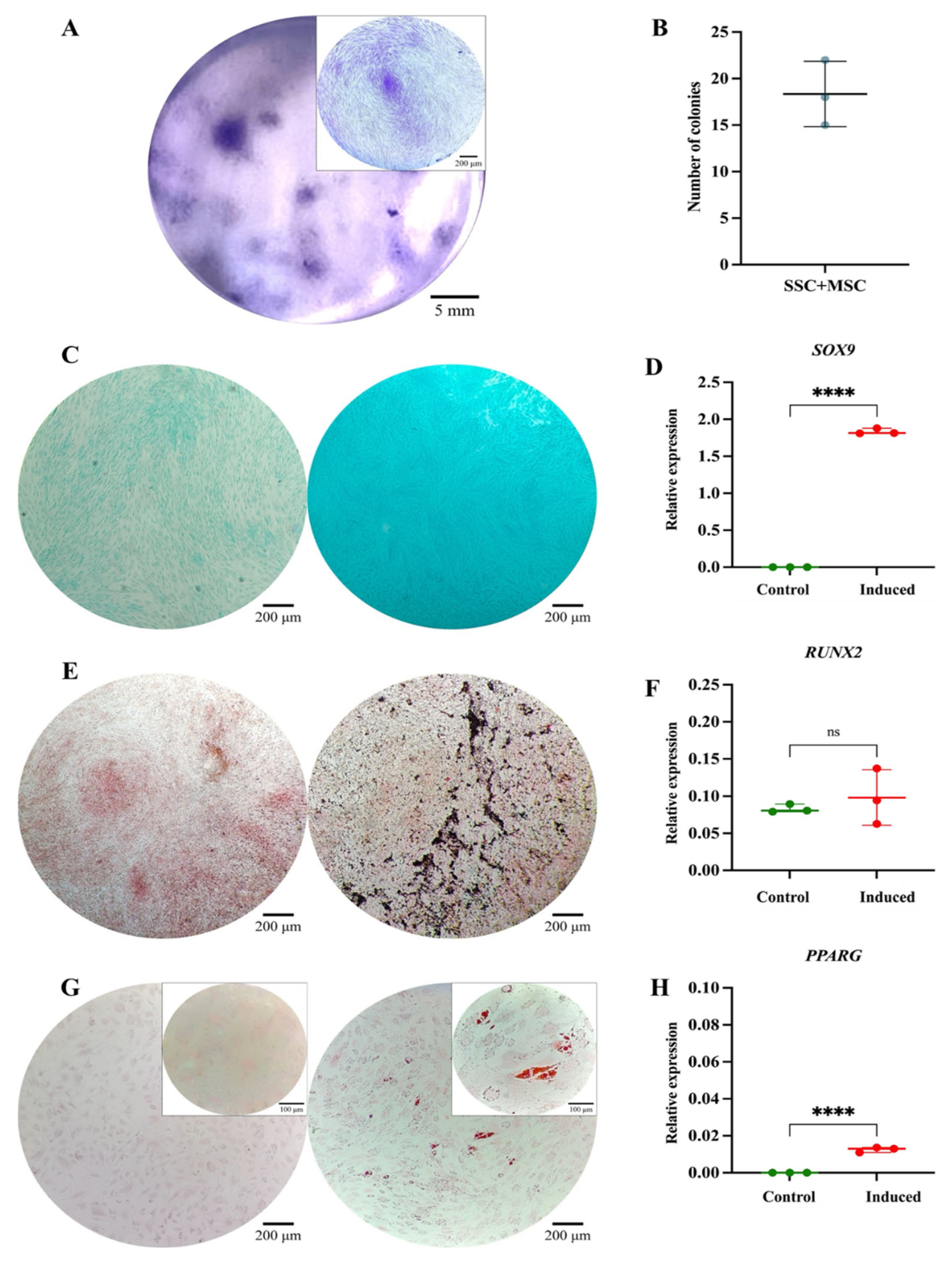 Preprints 173254 g006