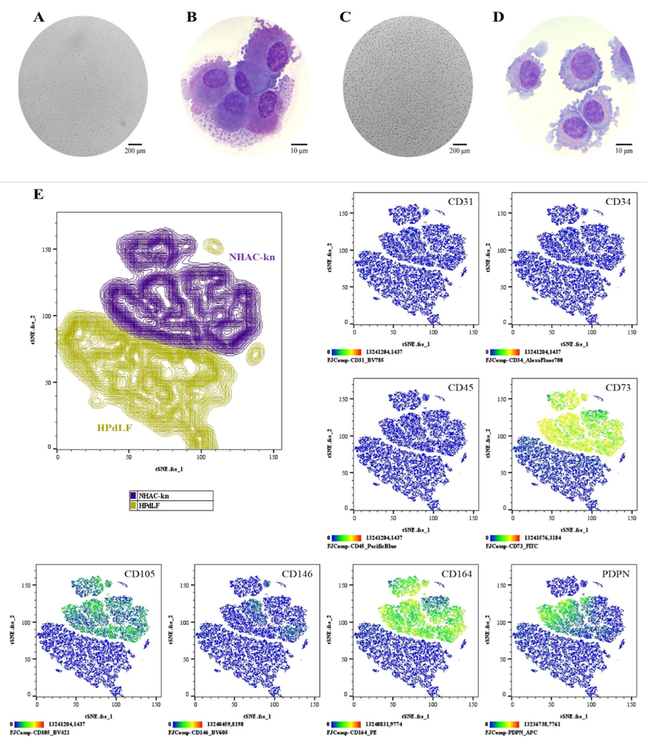 Preprints 173254 g008