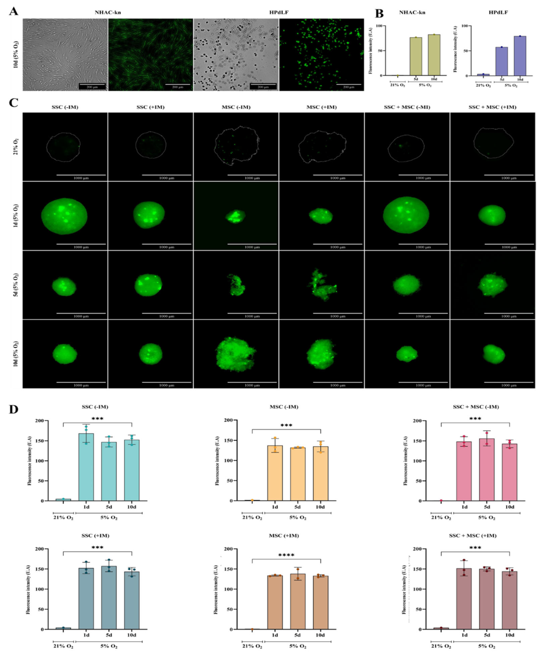 Preprints 173254 g010