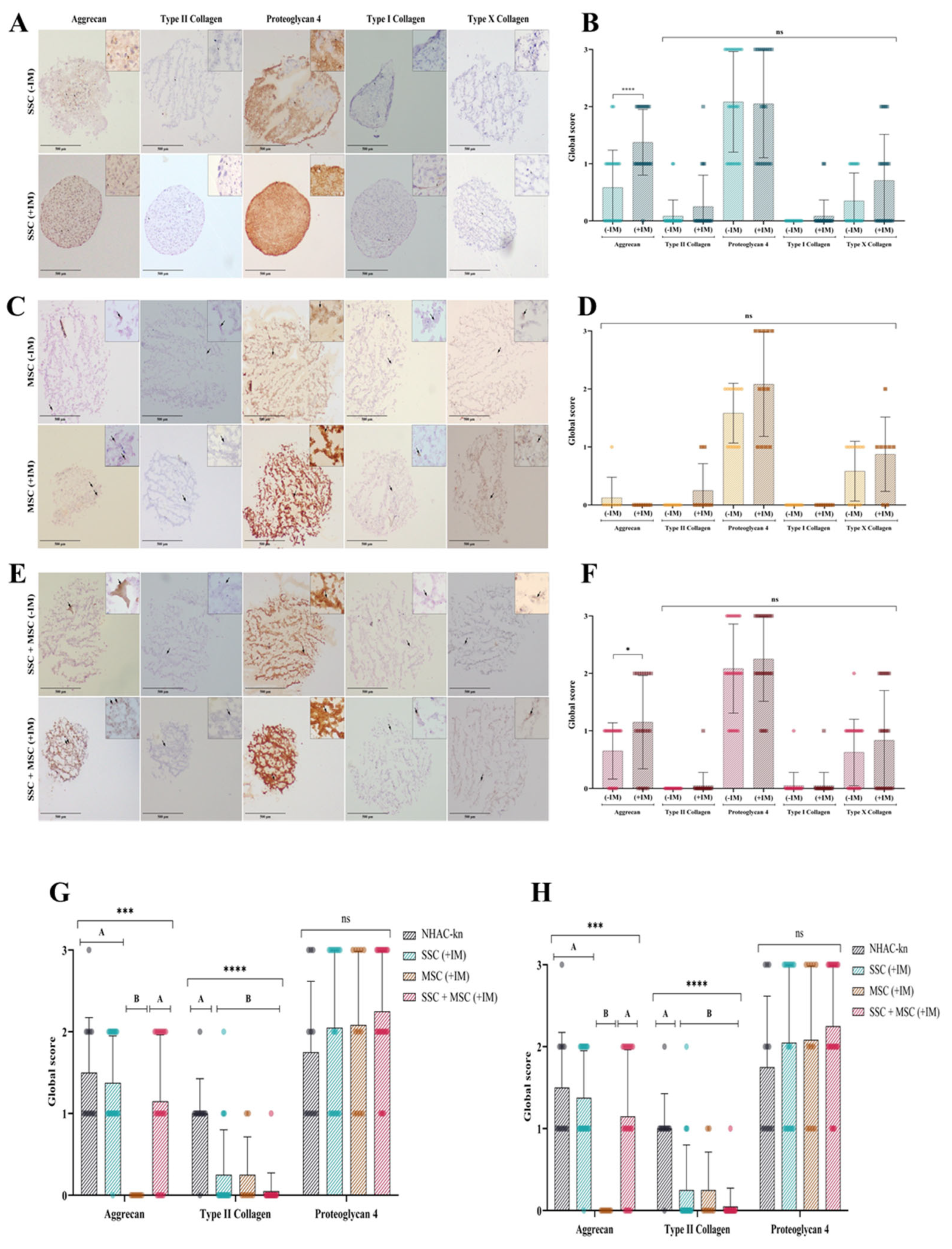 Preprints 173254 g013
