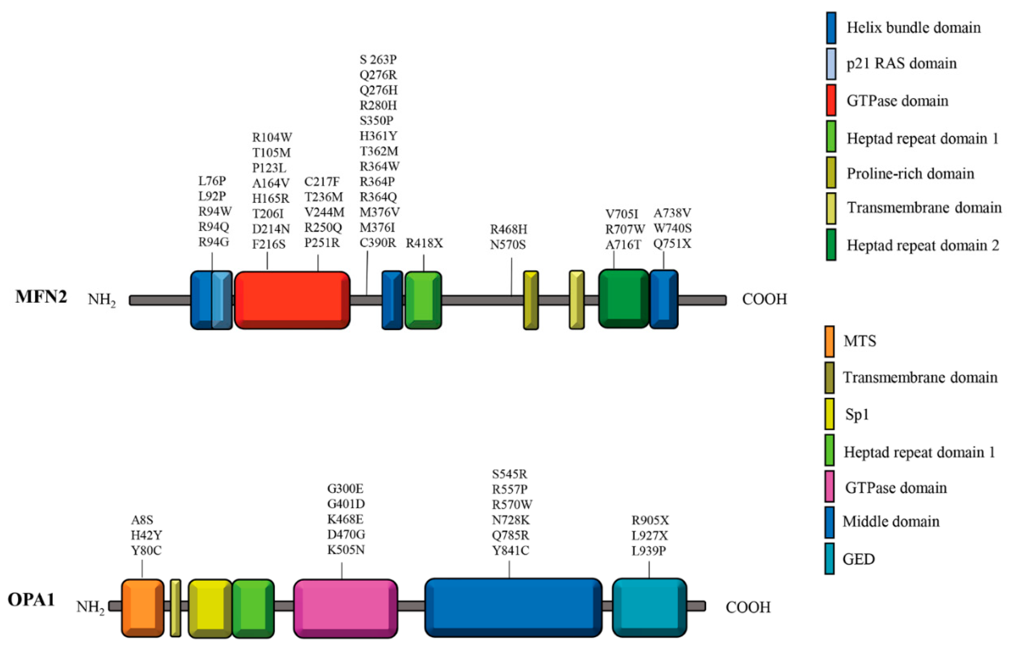 Preprints 149900 g001