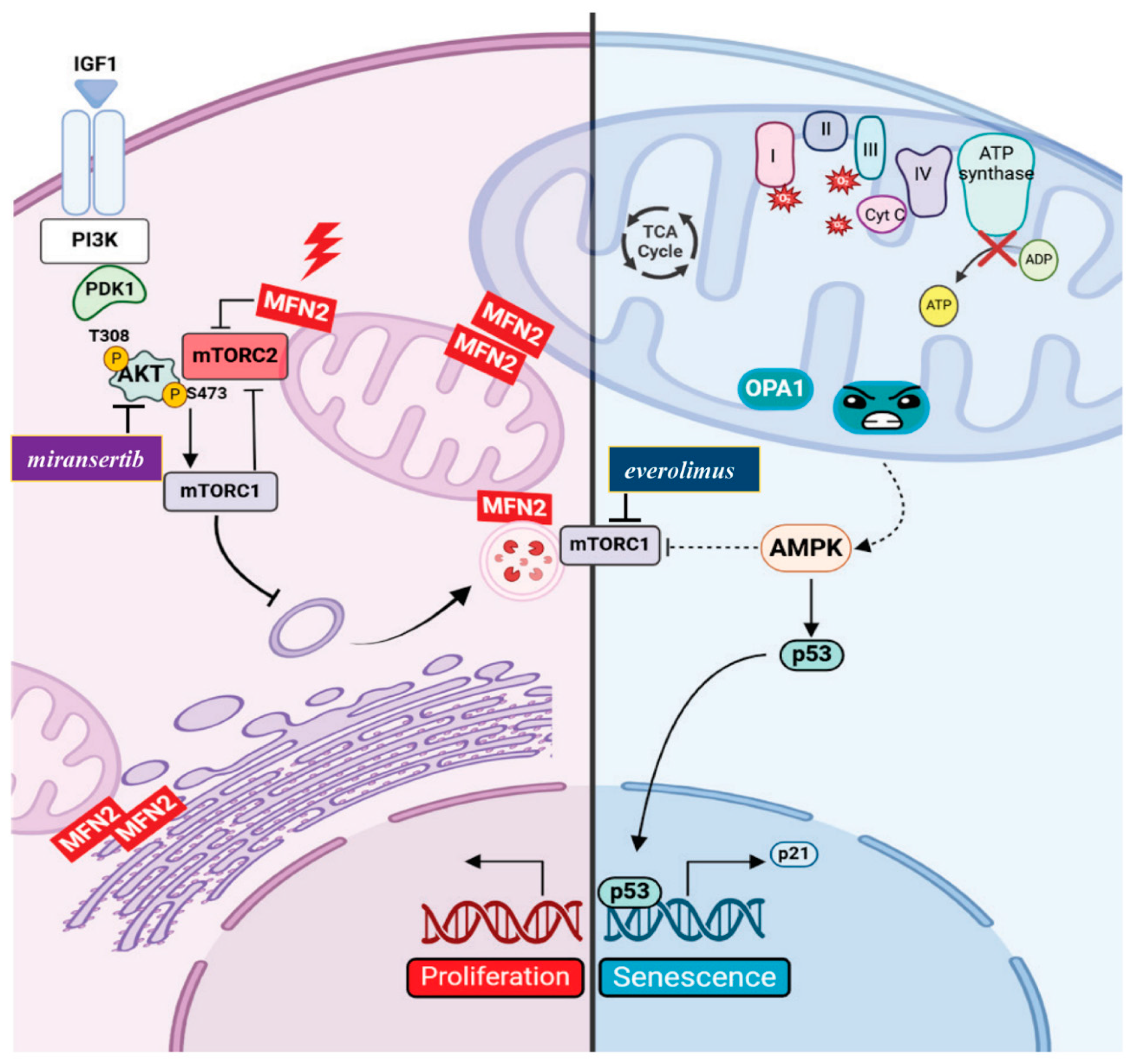 Preprints 149900 g002
