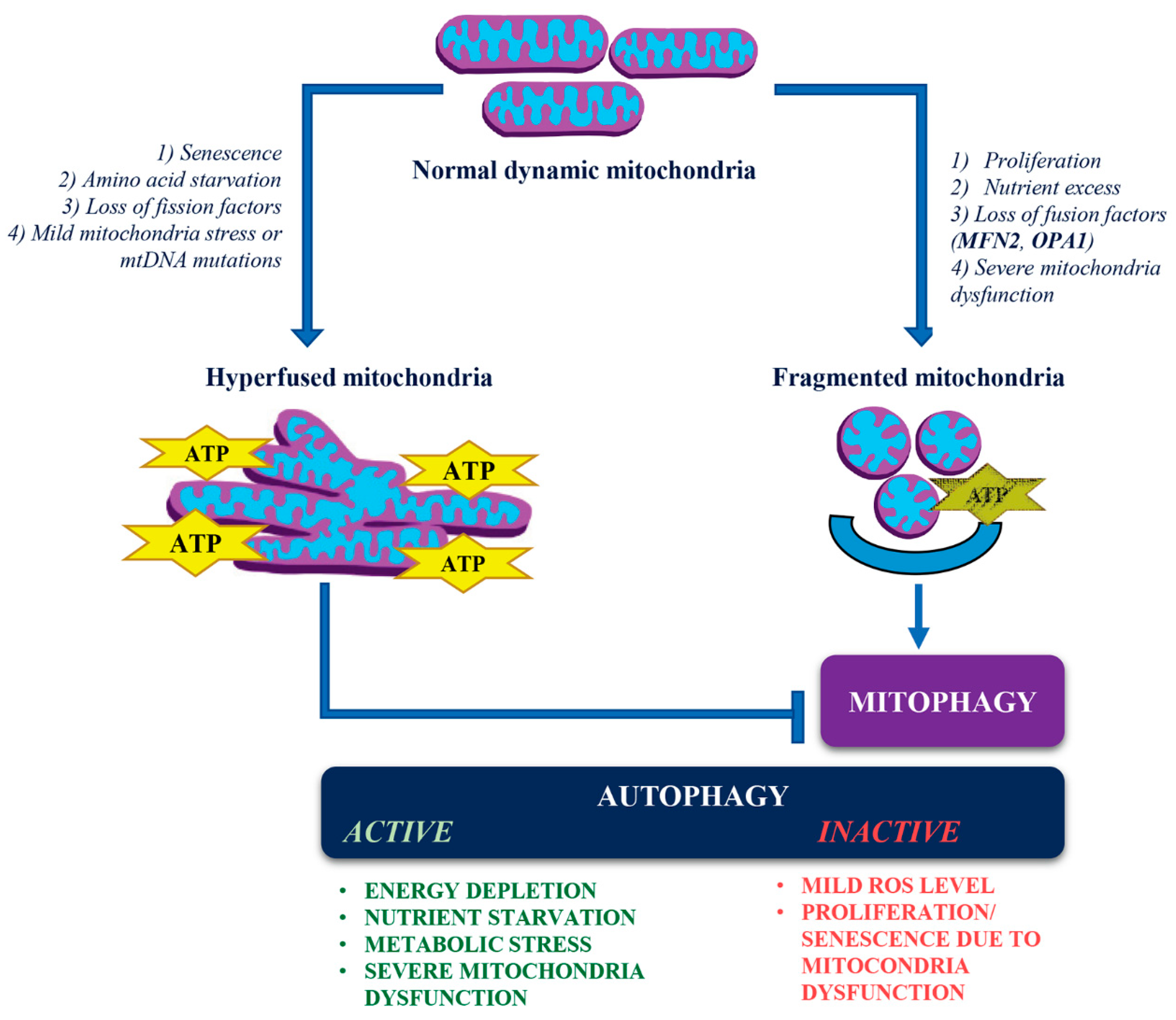 Preprints 149900 g003