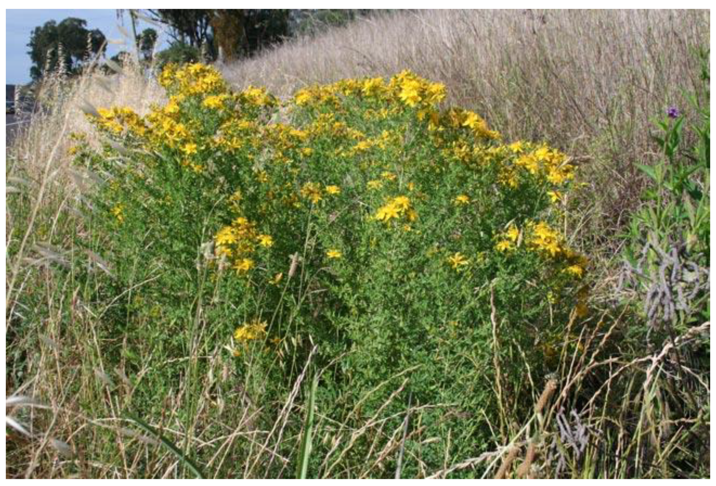 Preprints 67148 g001