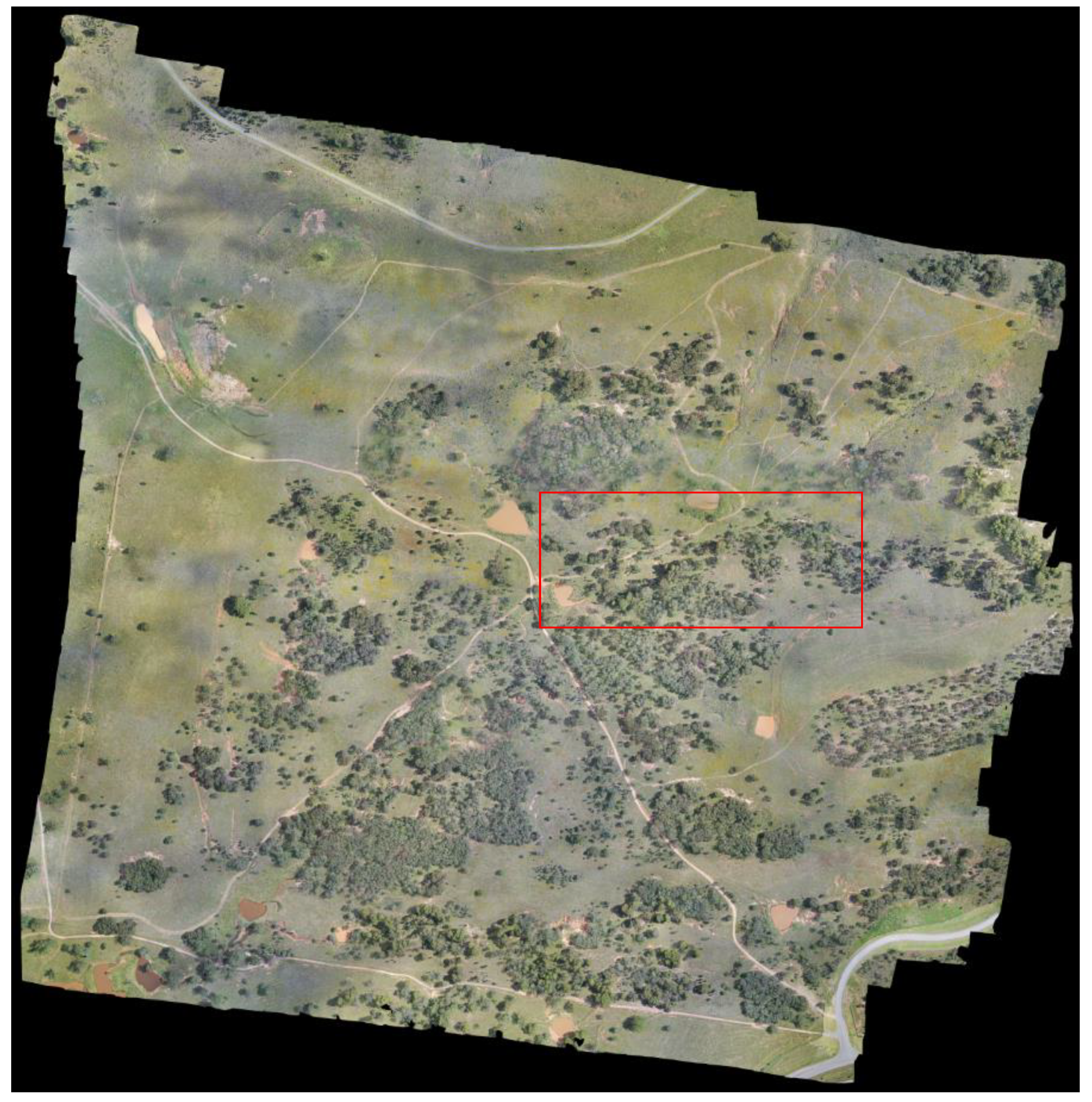 Preprints 67148 g004