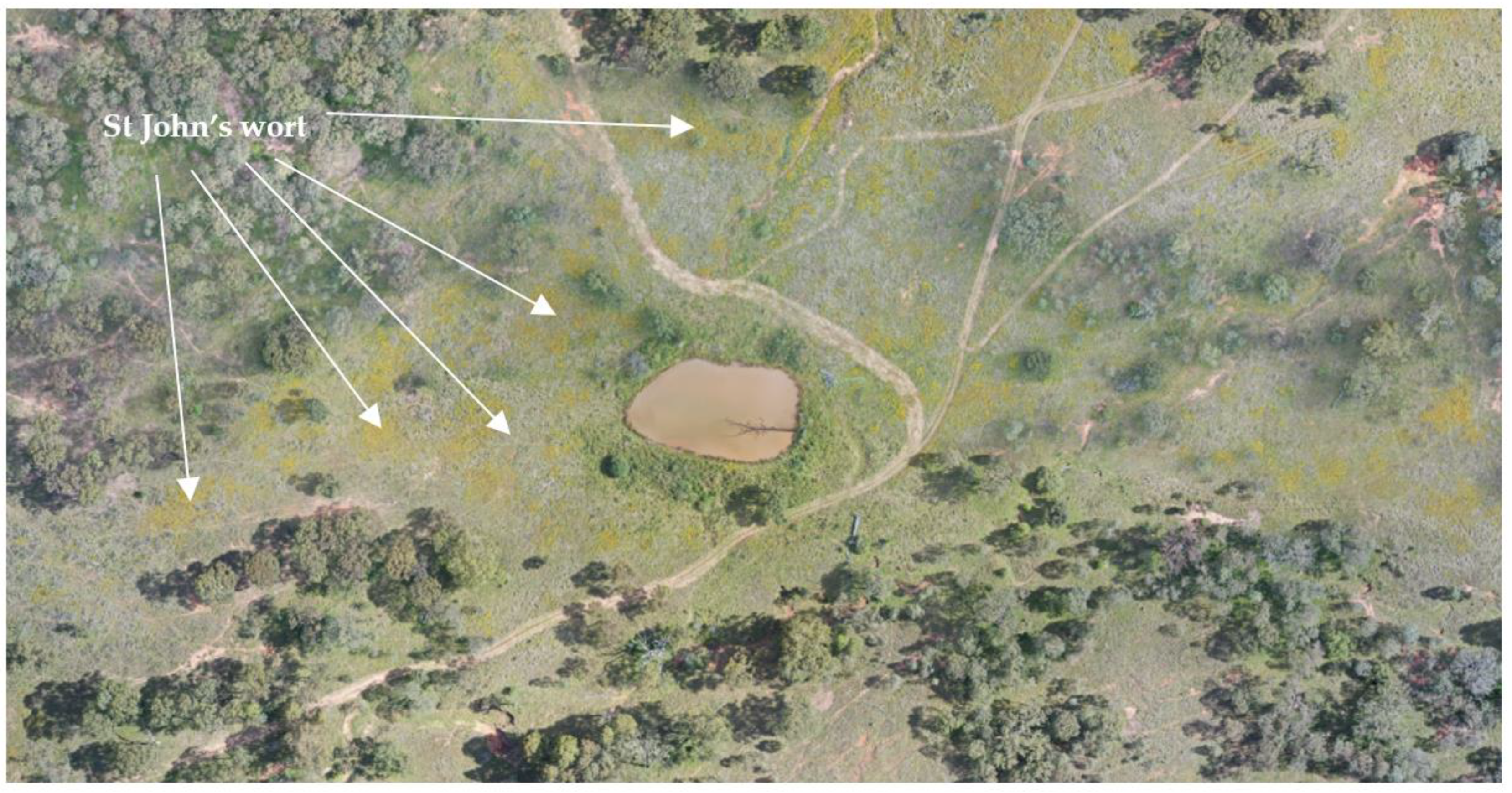 Preprints 67148 g005