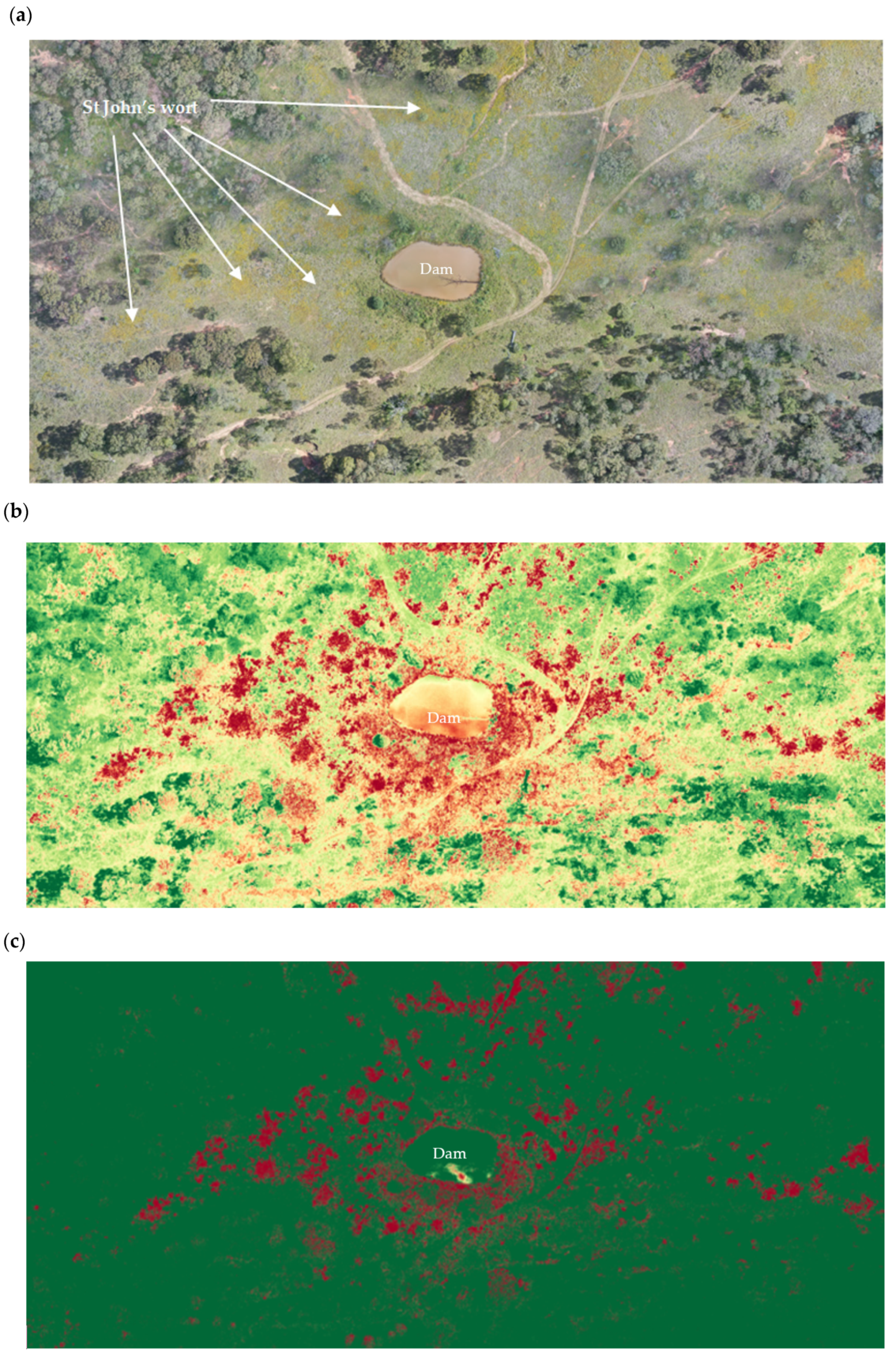 Preprints 67148 g011